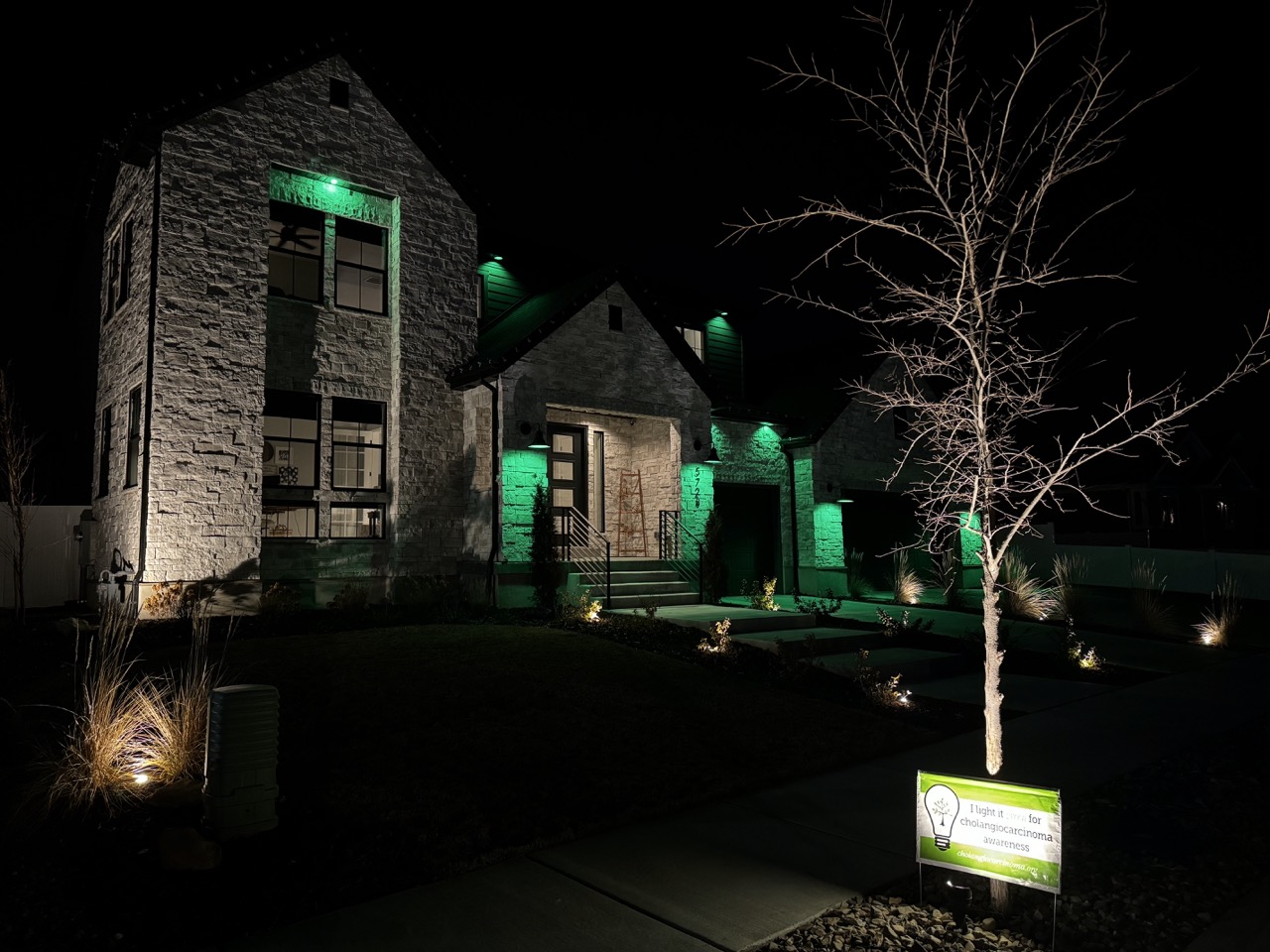 Upload your "Light It Green" photo