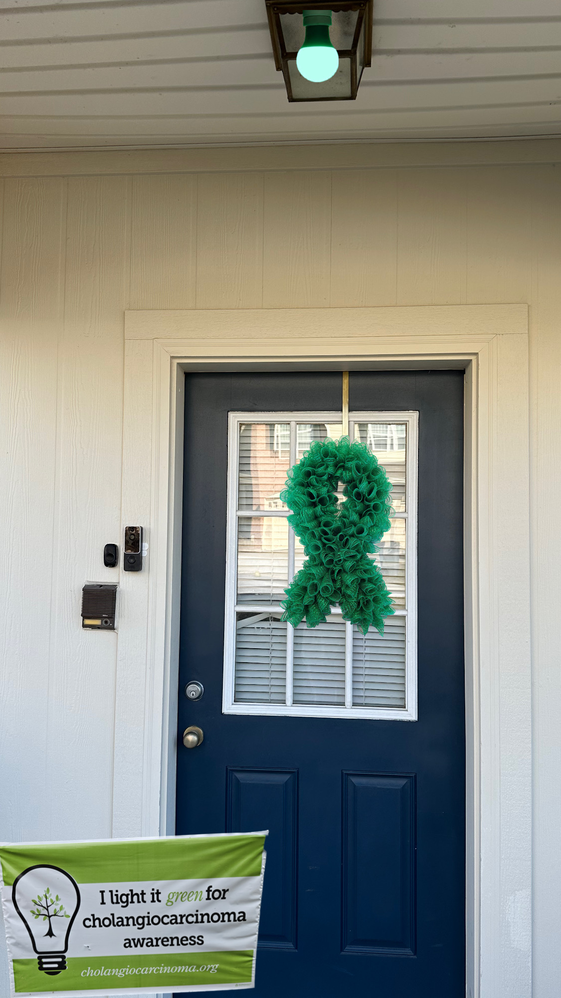 Upload your "Light It Green" photo