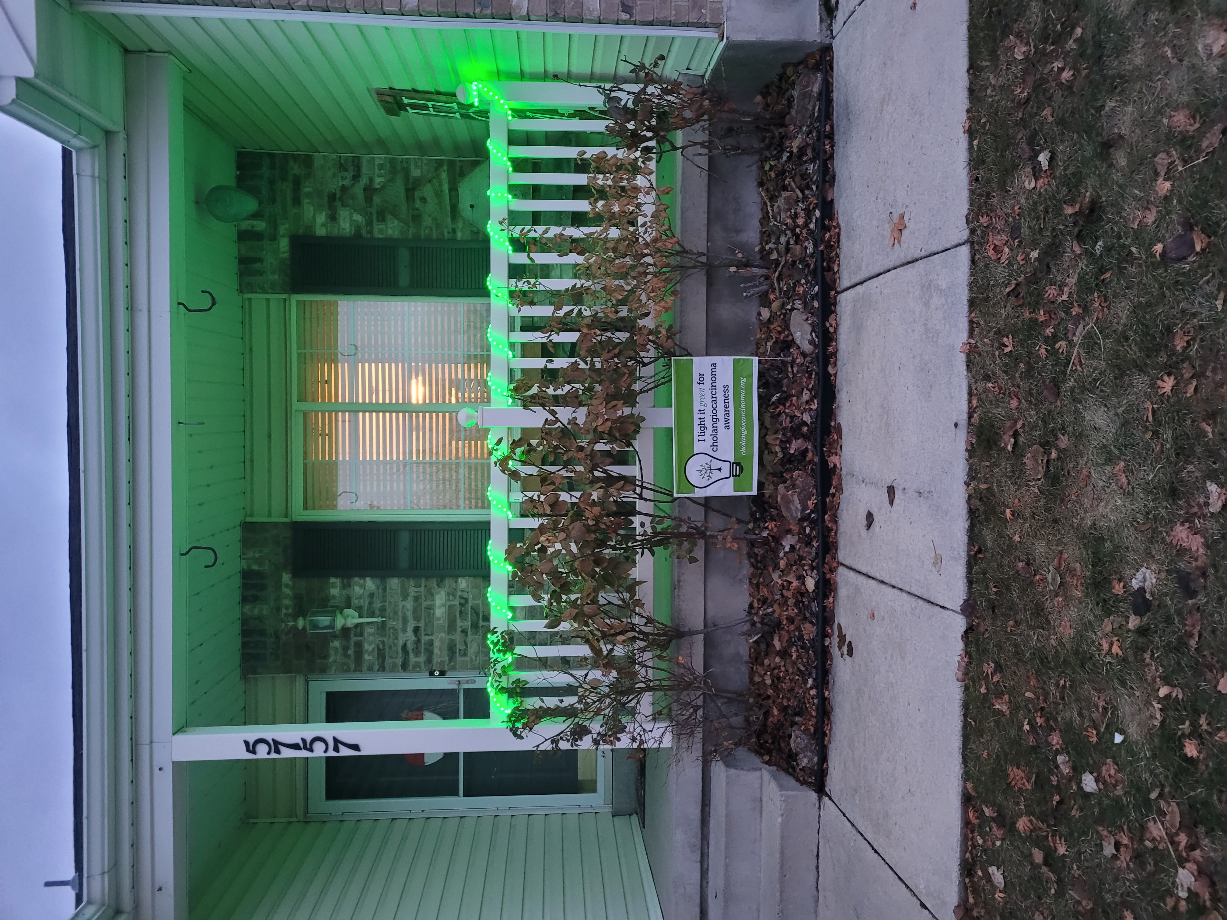 Upload your "Light It Green" photo