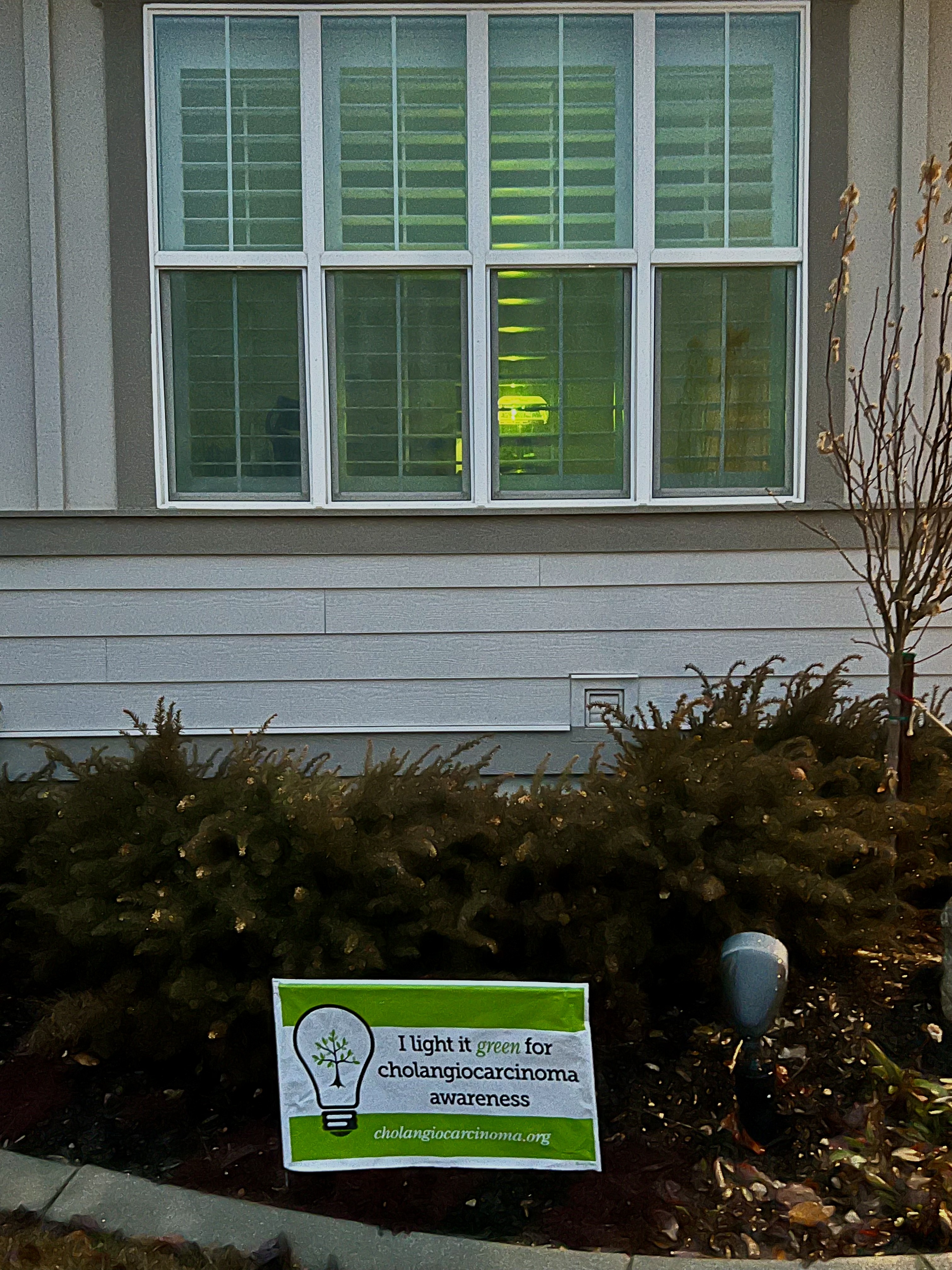 Upload your "Light It Green" photo