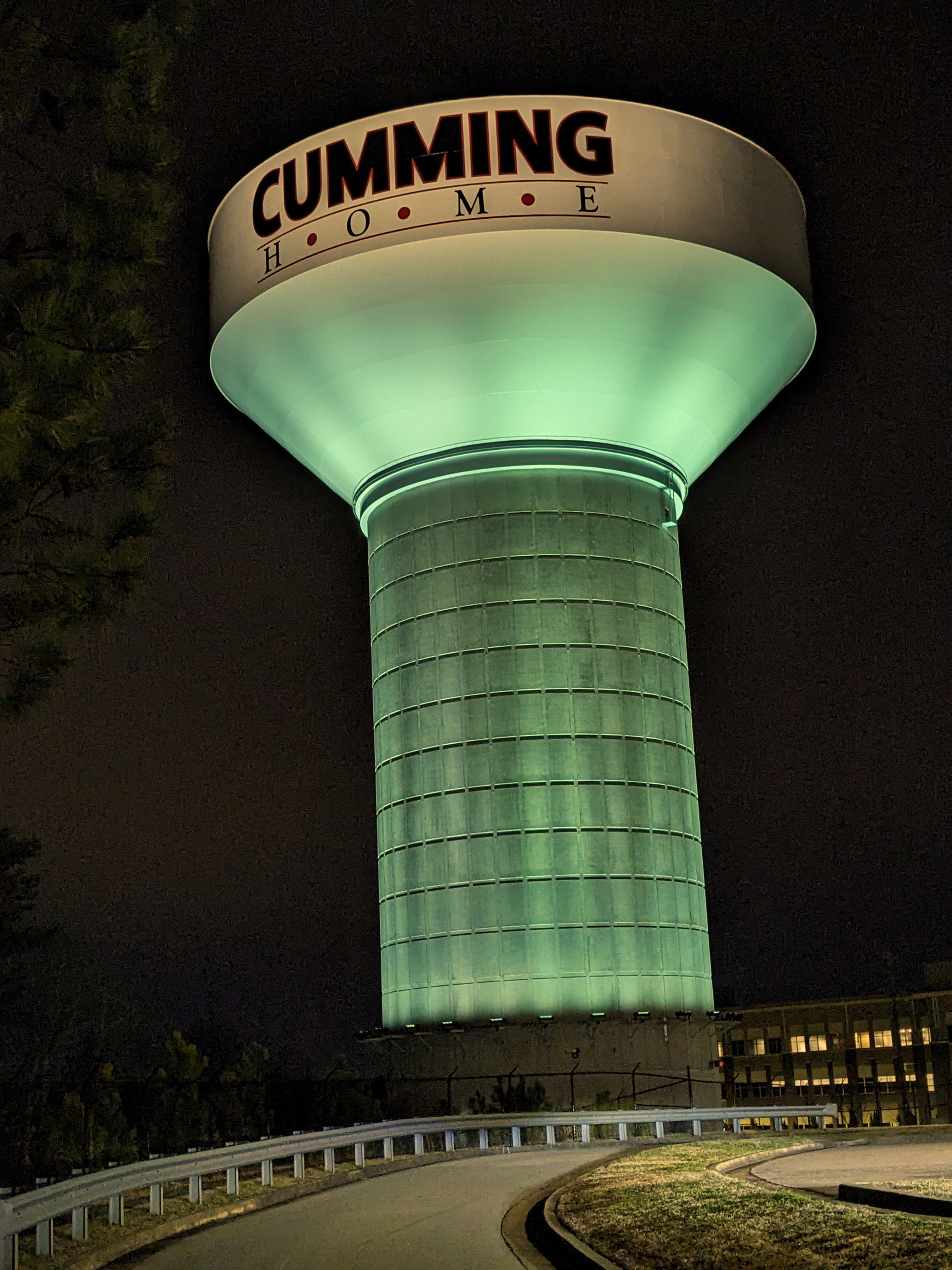 Upload your "Light It Green" photo
