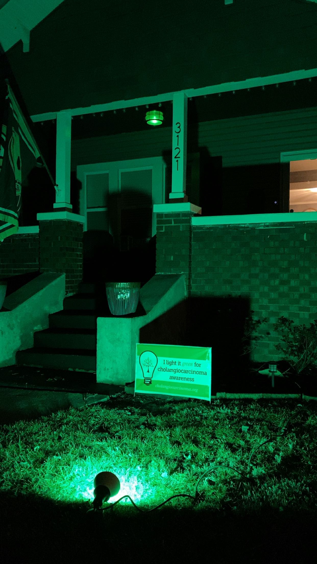 Upload your "Light It Green" photo