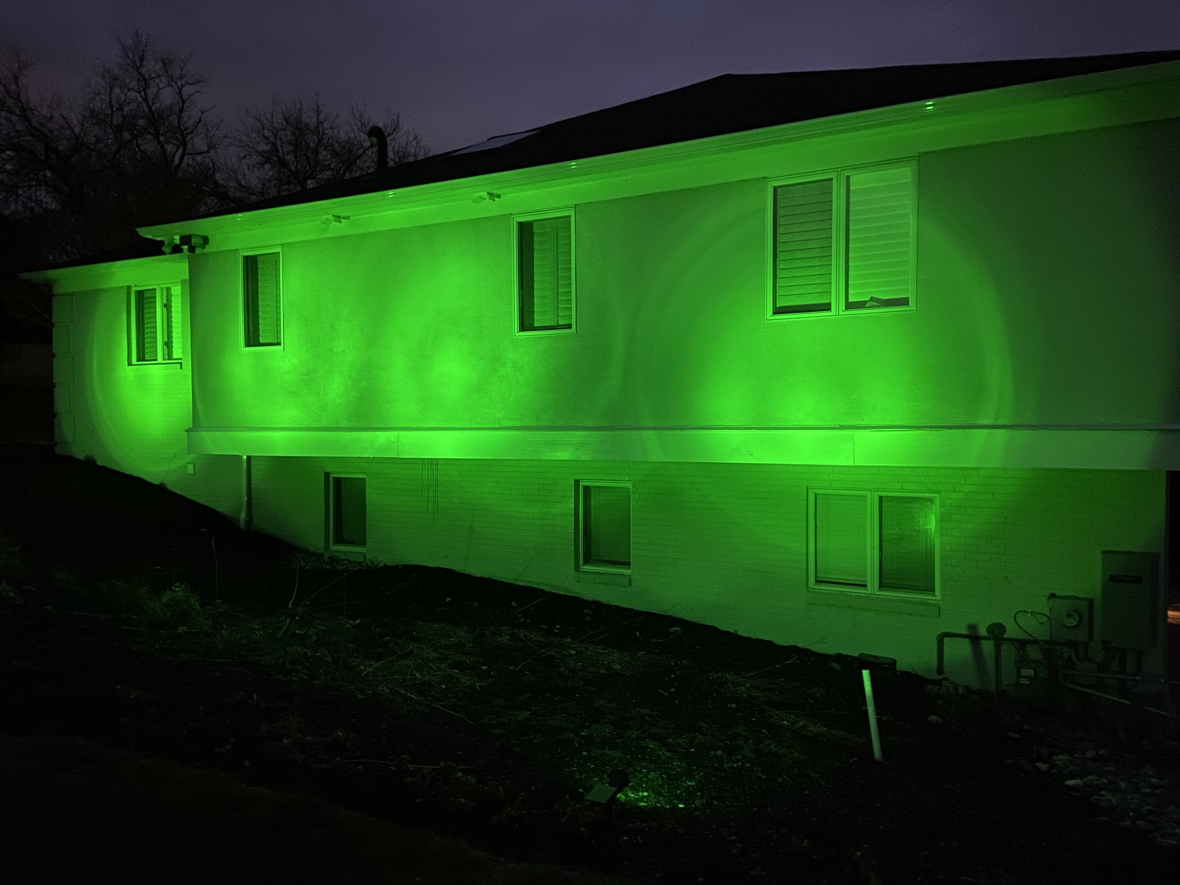 Upload your "Light It Green" photo