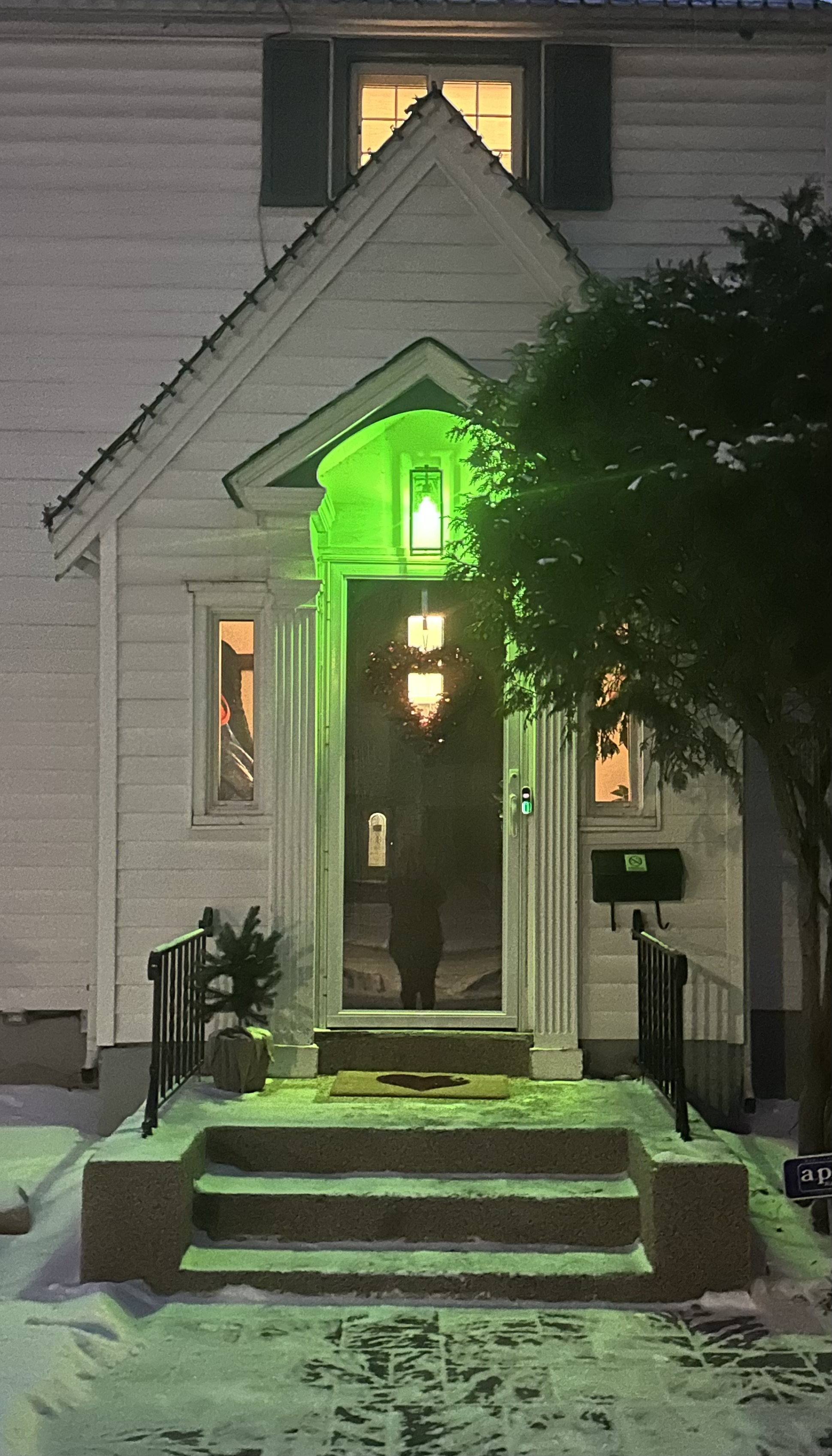 Upload your "Light It Green" photo