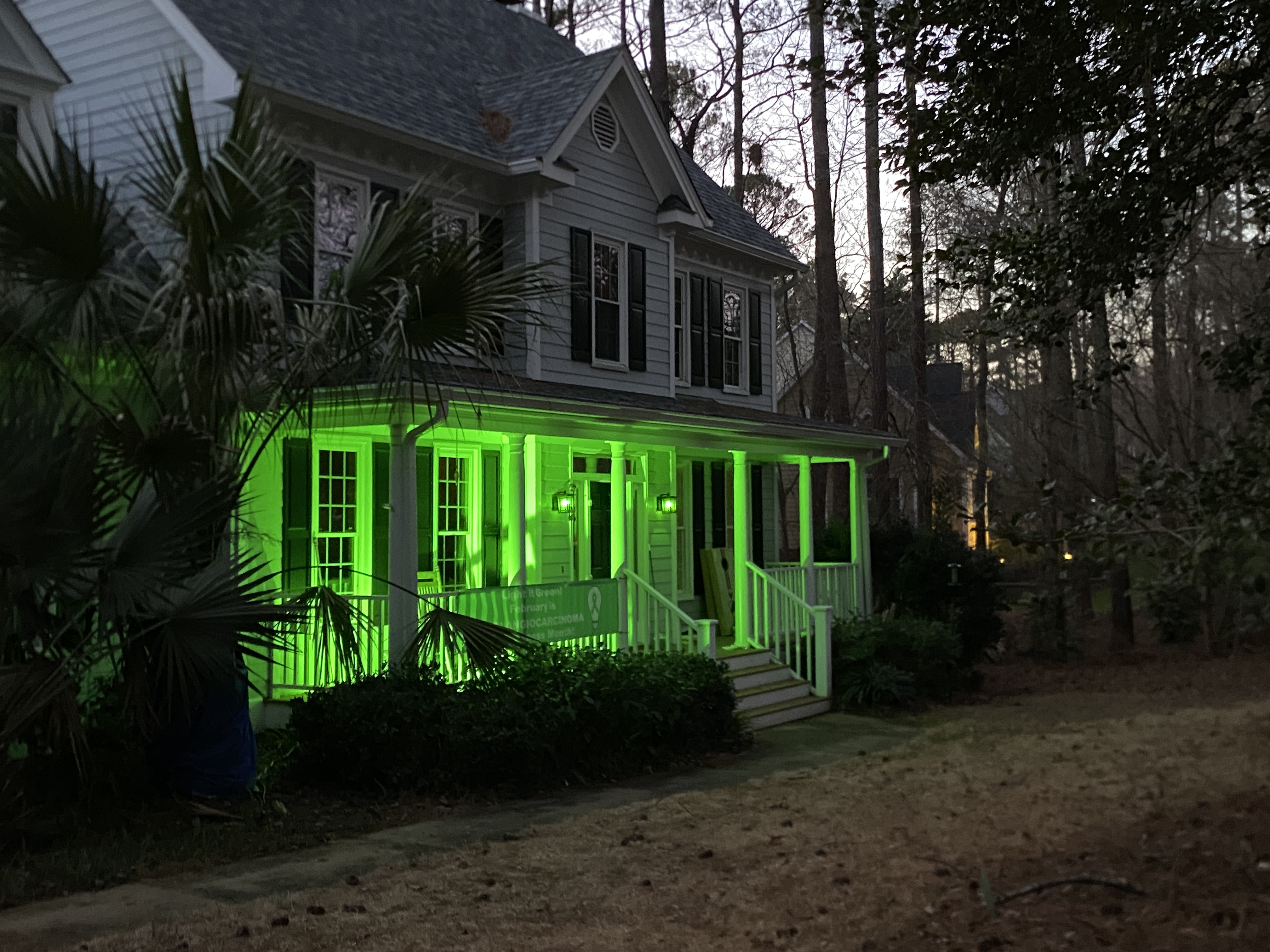 Upload your "Light It Green" photo