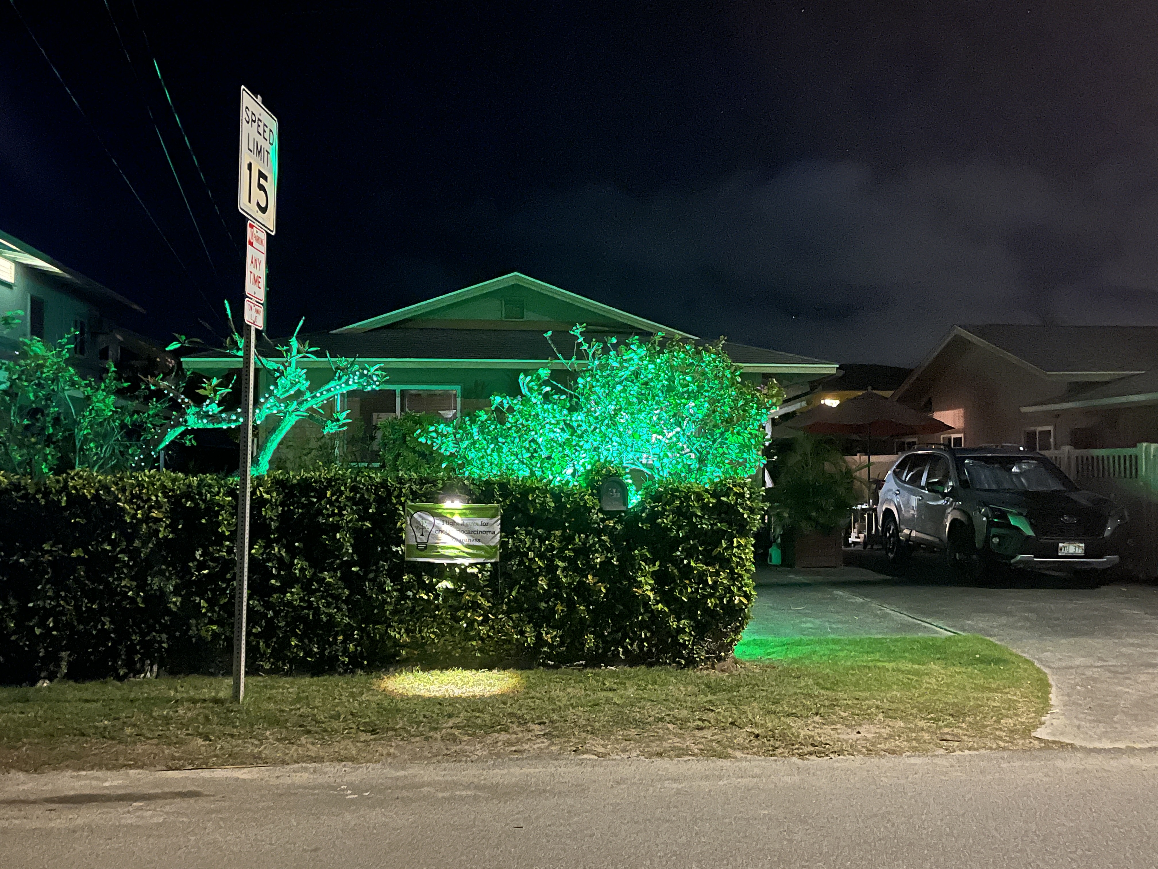 Upload your "Light It Green" photo