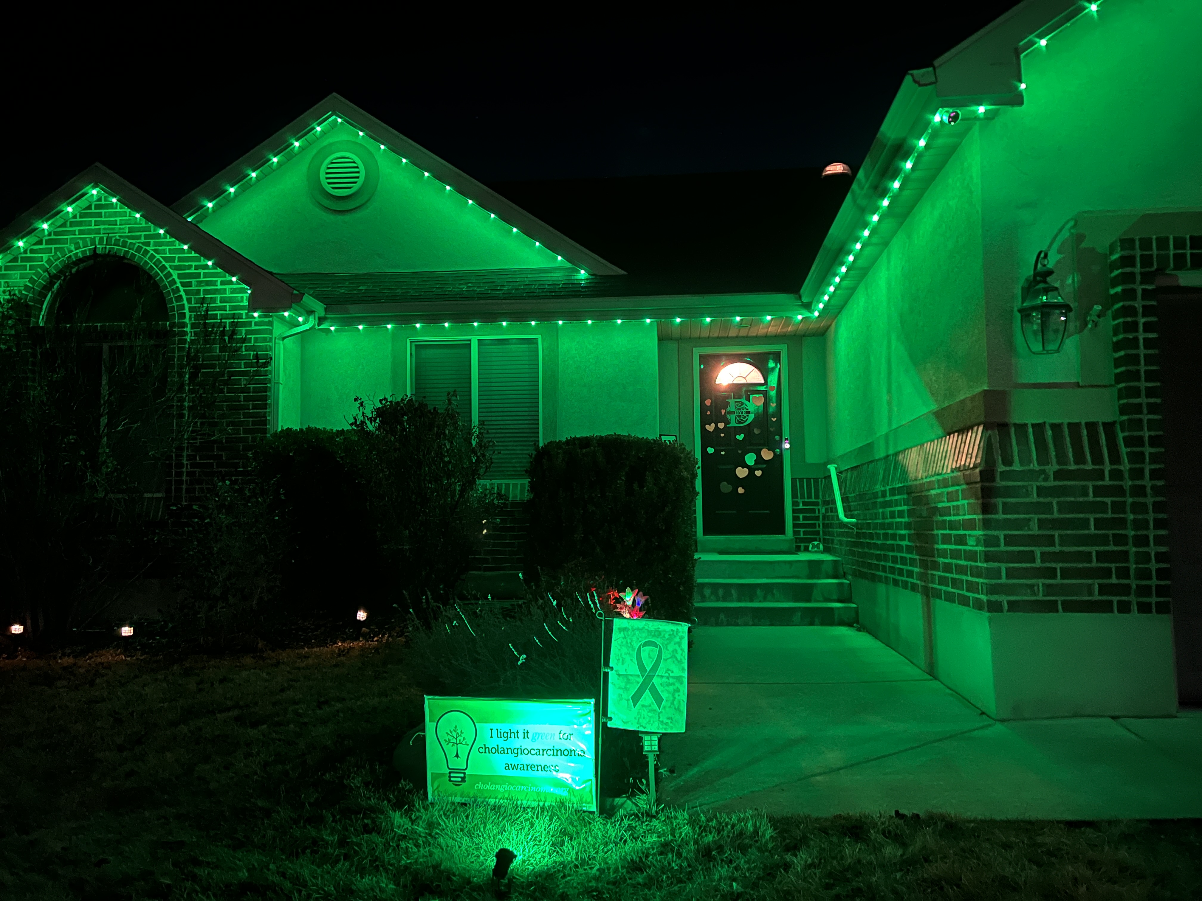 Upload your "Light It Green" photo