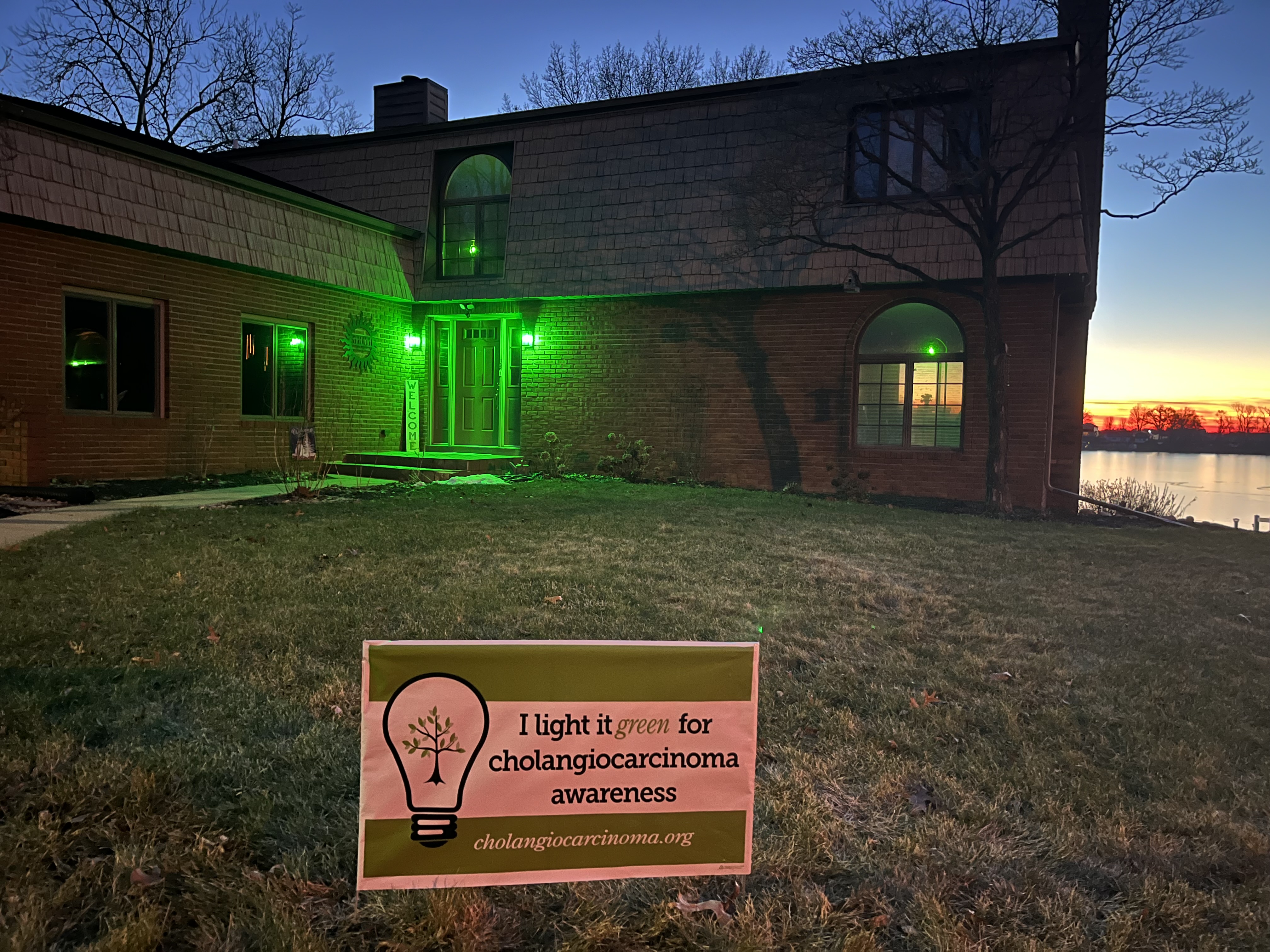 Upload your "Light It Green" photo