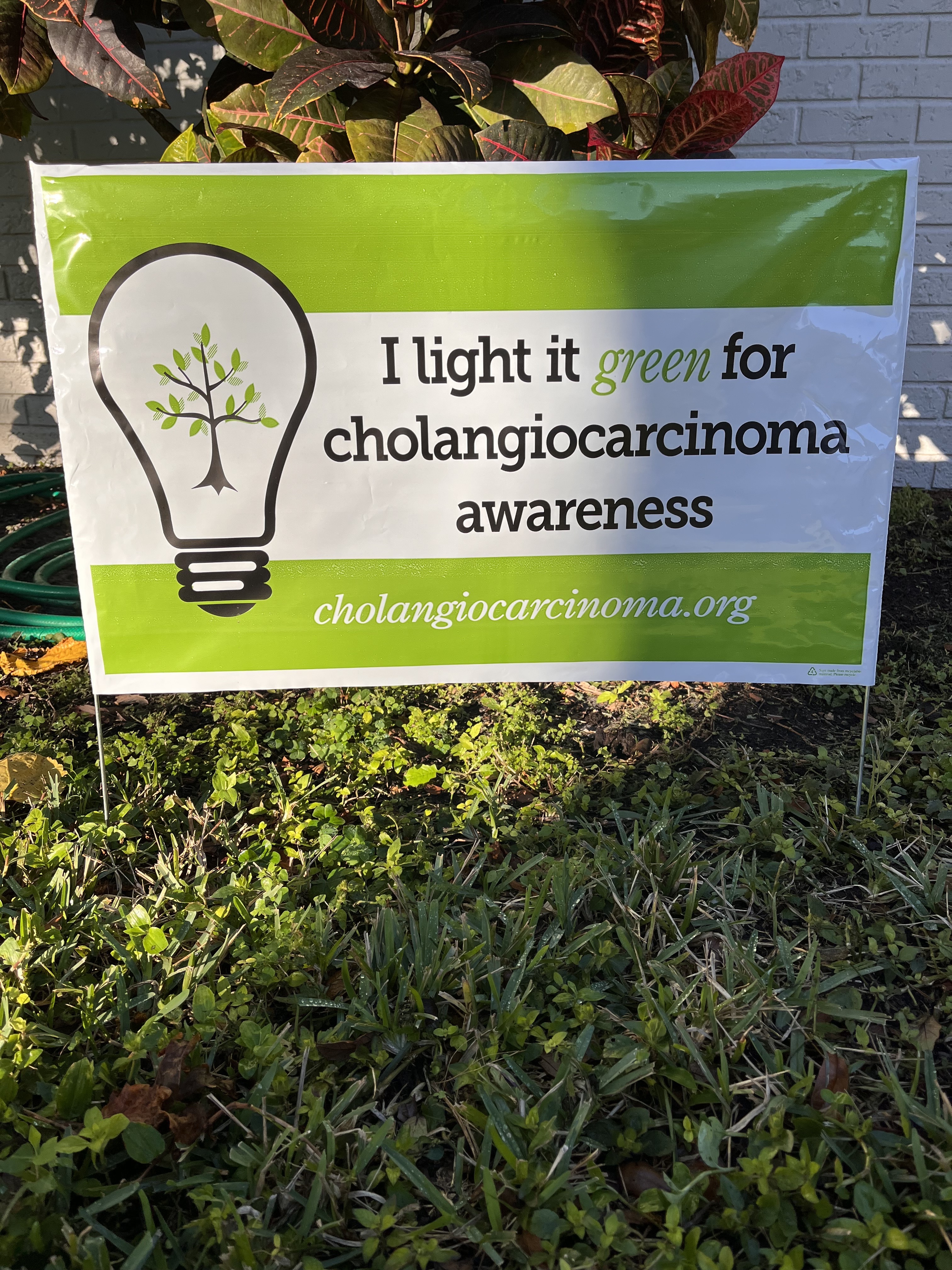 Upload your "Light It Green" photo