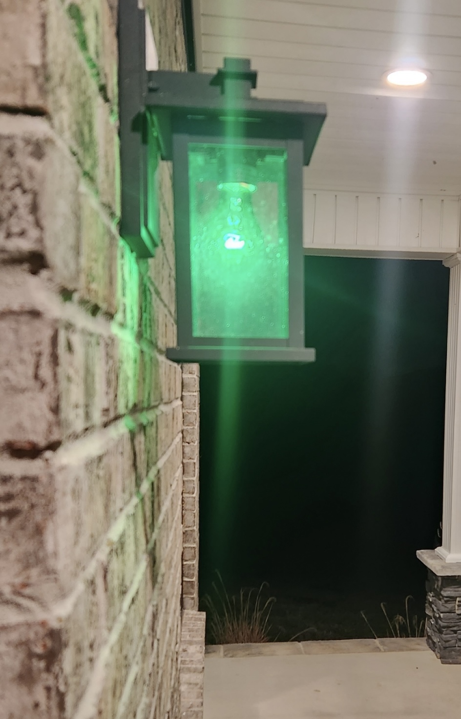 Upload your "Light It Green" photo