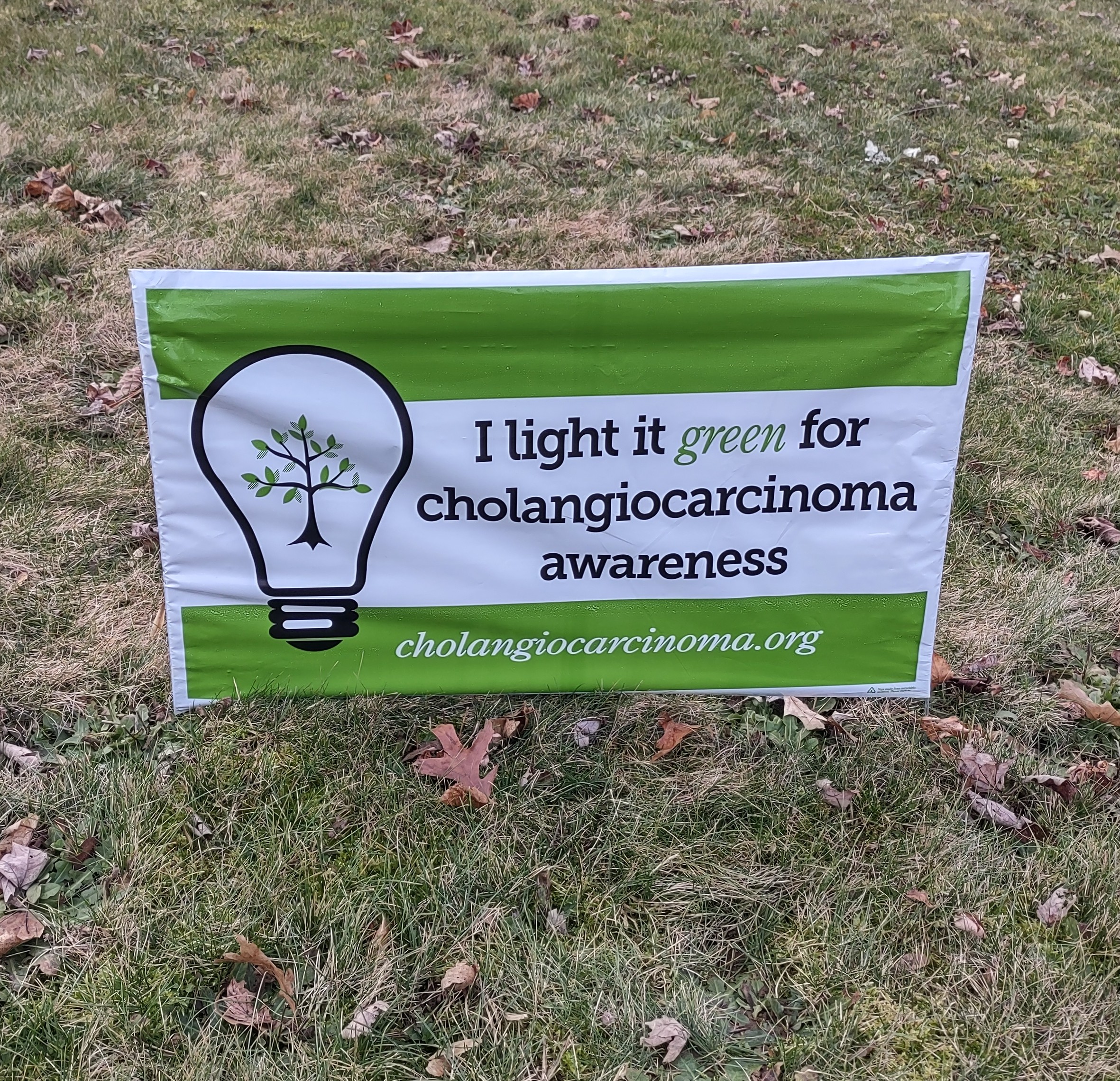 Upload your "Light It Green" photo
