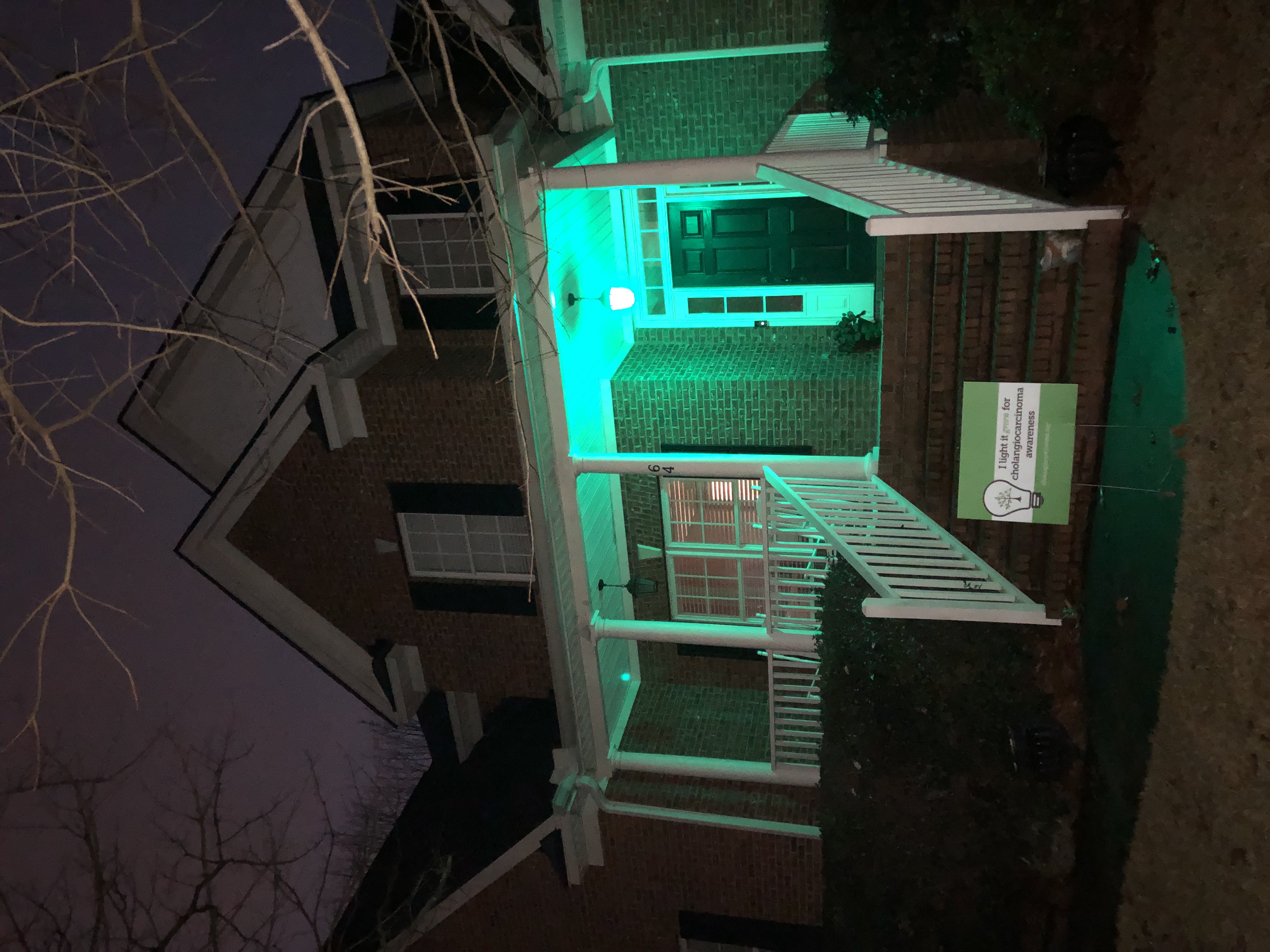 Upload your "Light It Green" photo