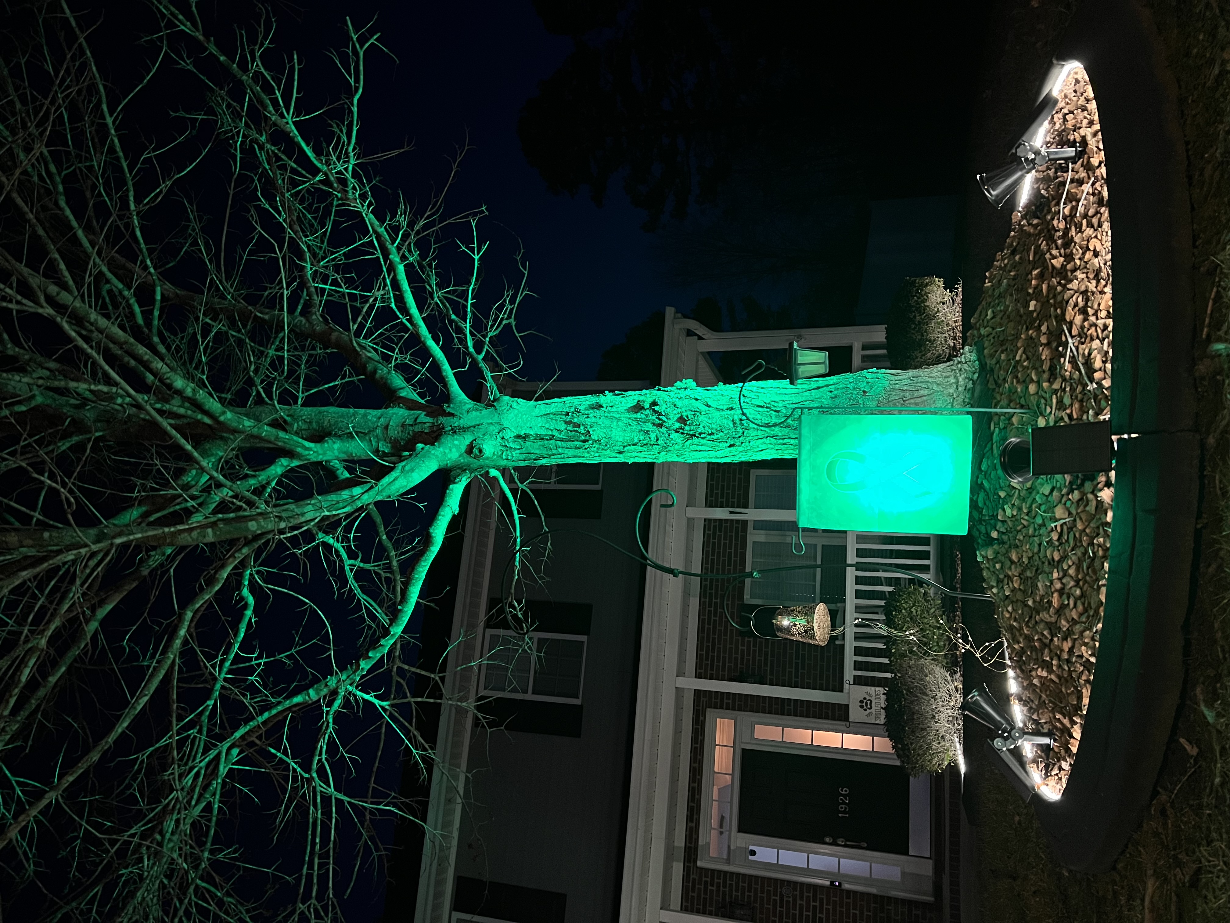 Upload your "Light It Green" photo