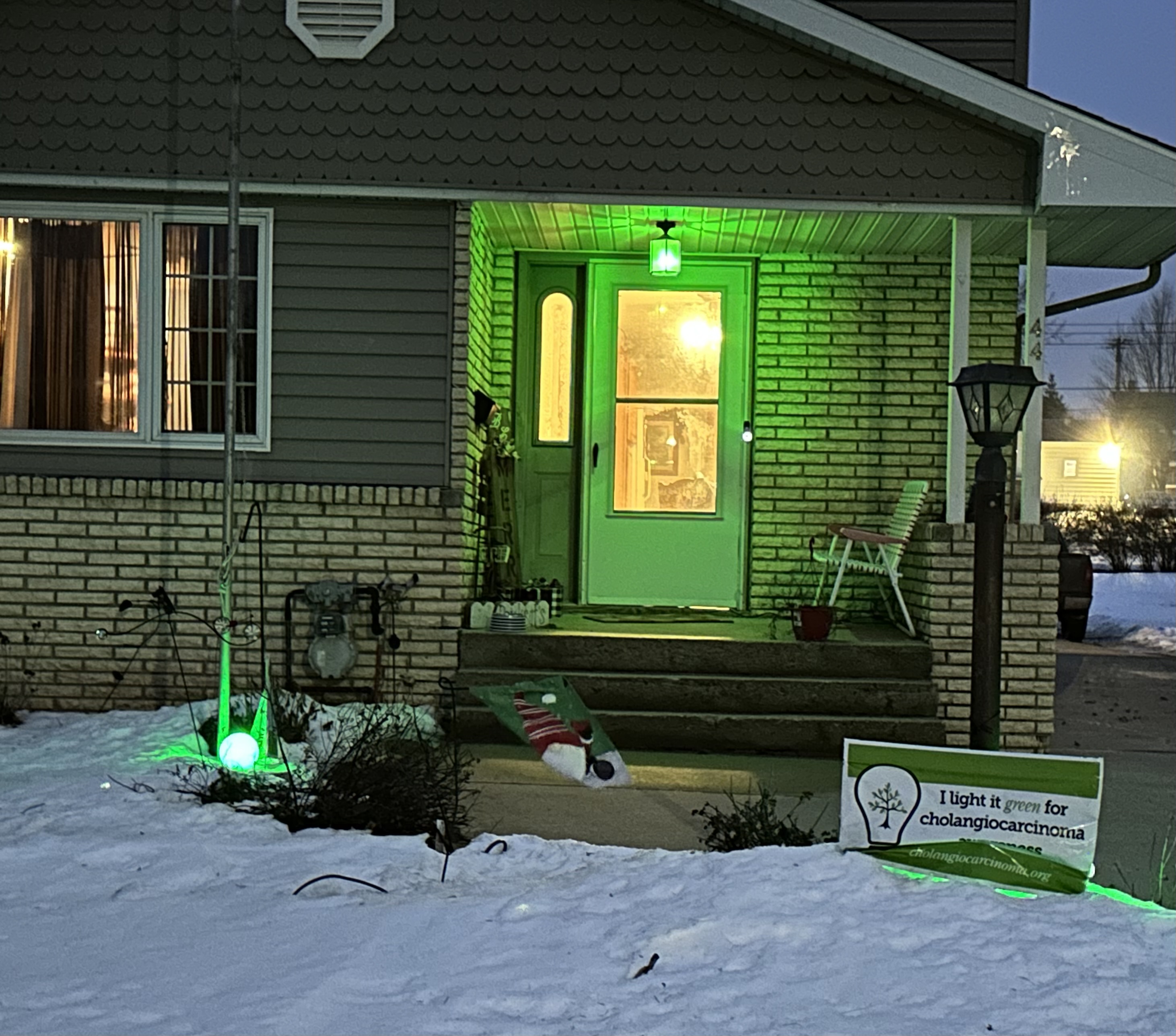 Upload your "Light It Green" photo
