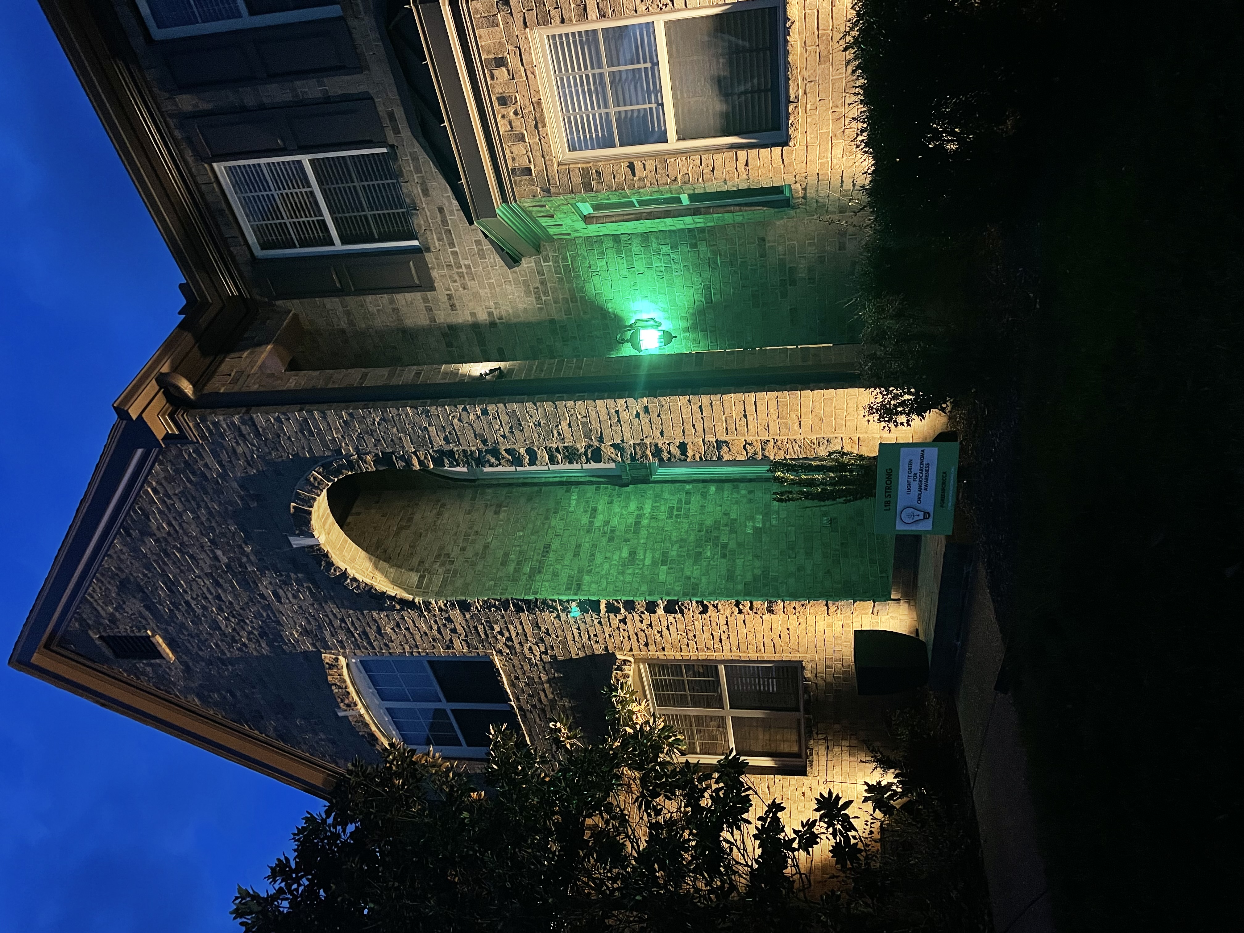 Upload your "Light It Green" photo