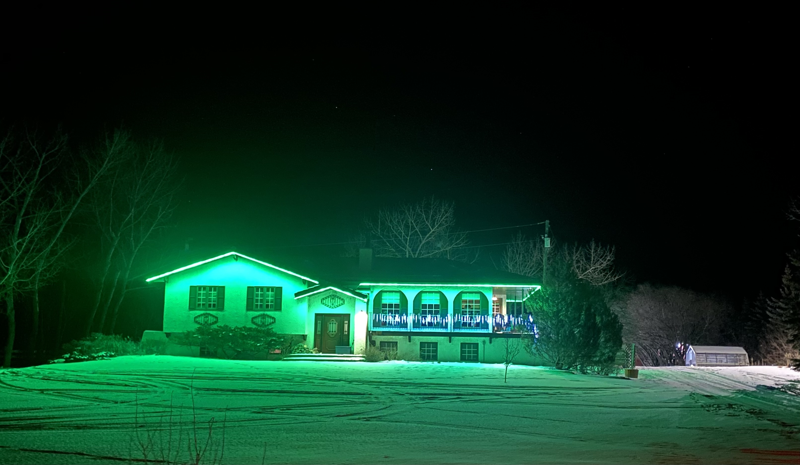 Upload your "Light It Green" photo
