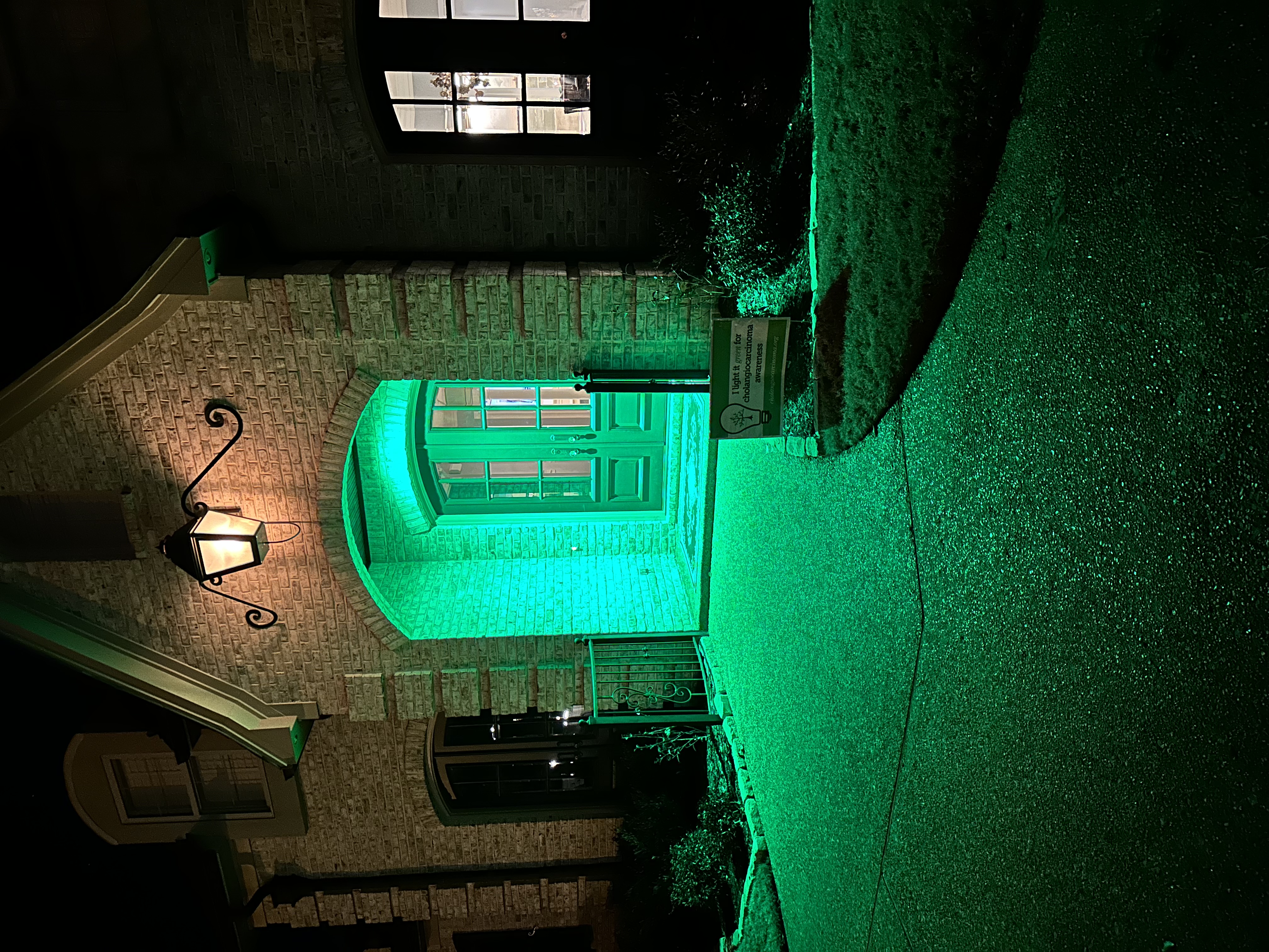Upload your "Light It Green" photo