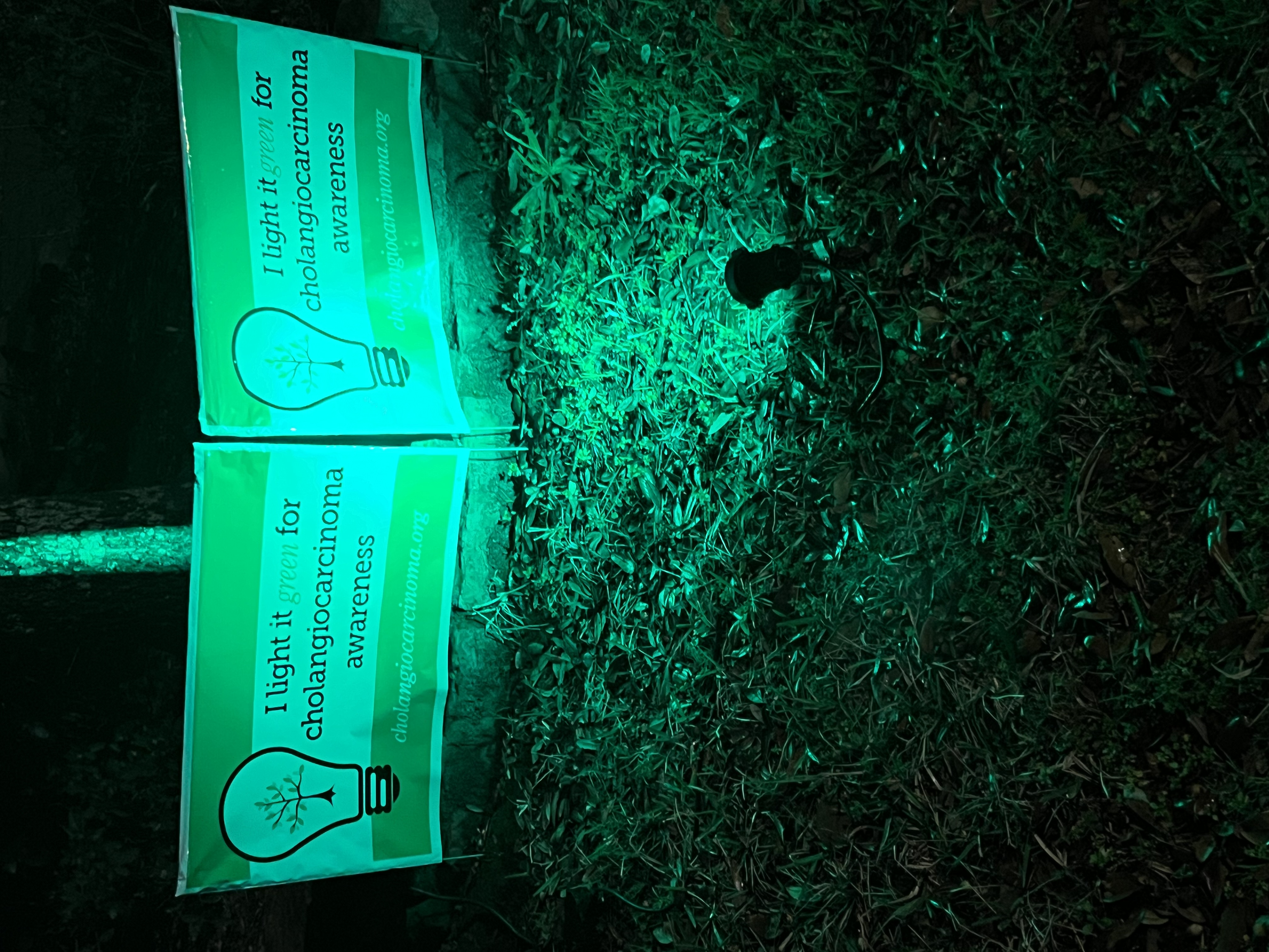 Upload your "Light It Green" photo