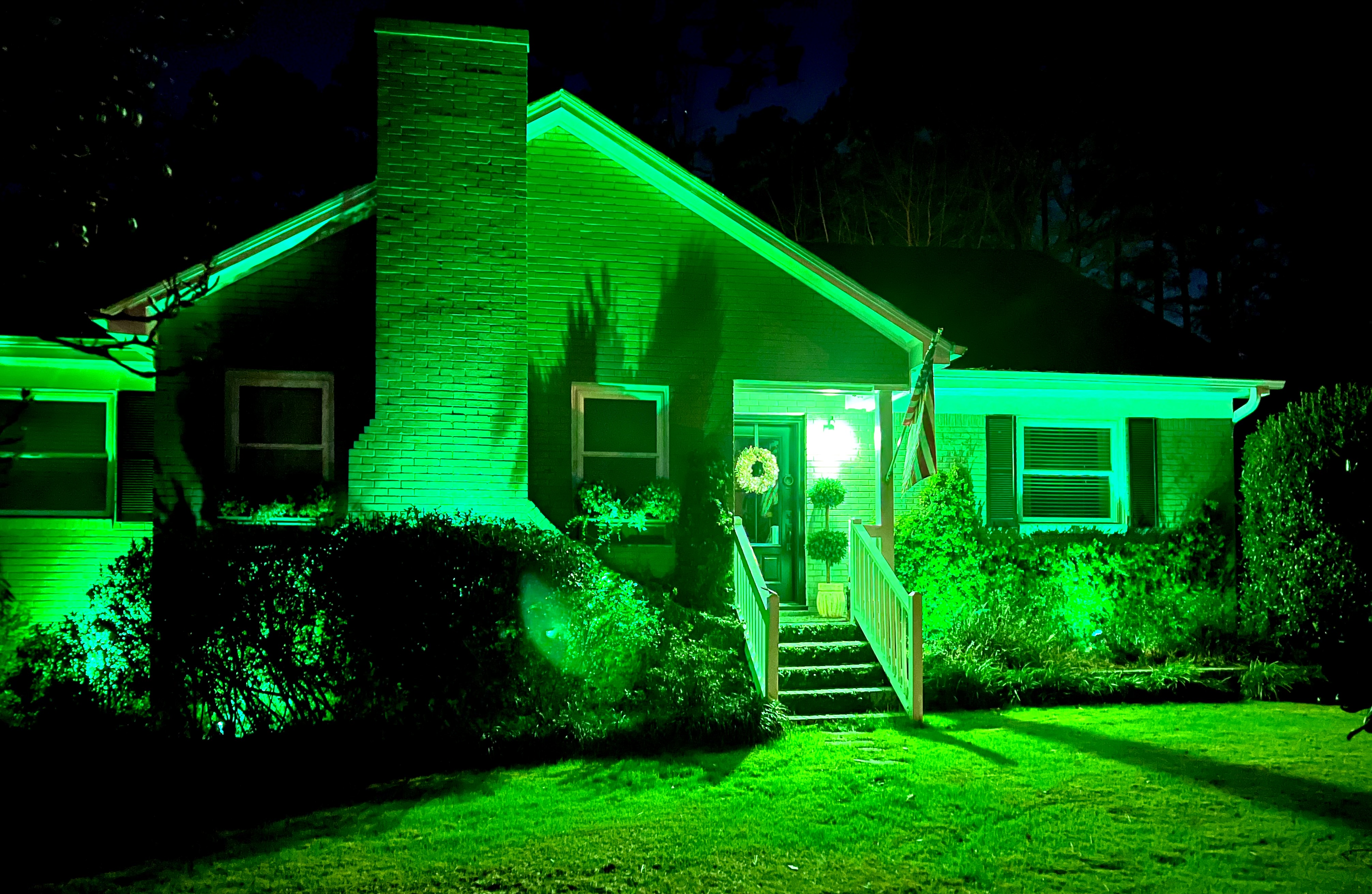 Upload your "Light It Green" photo