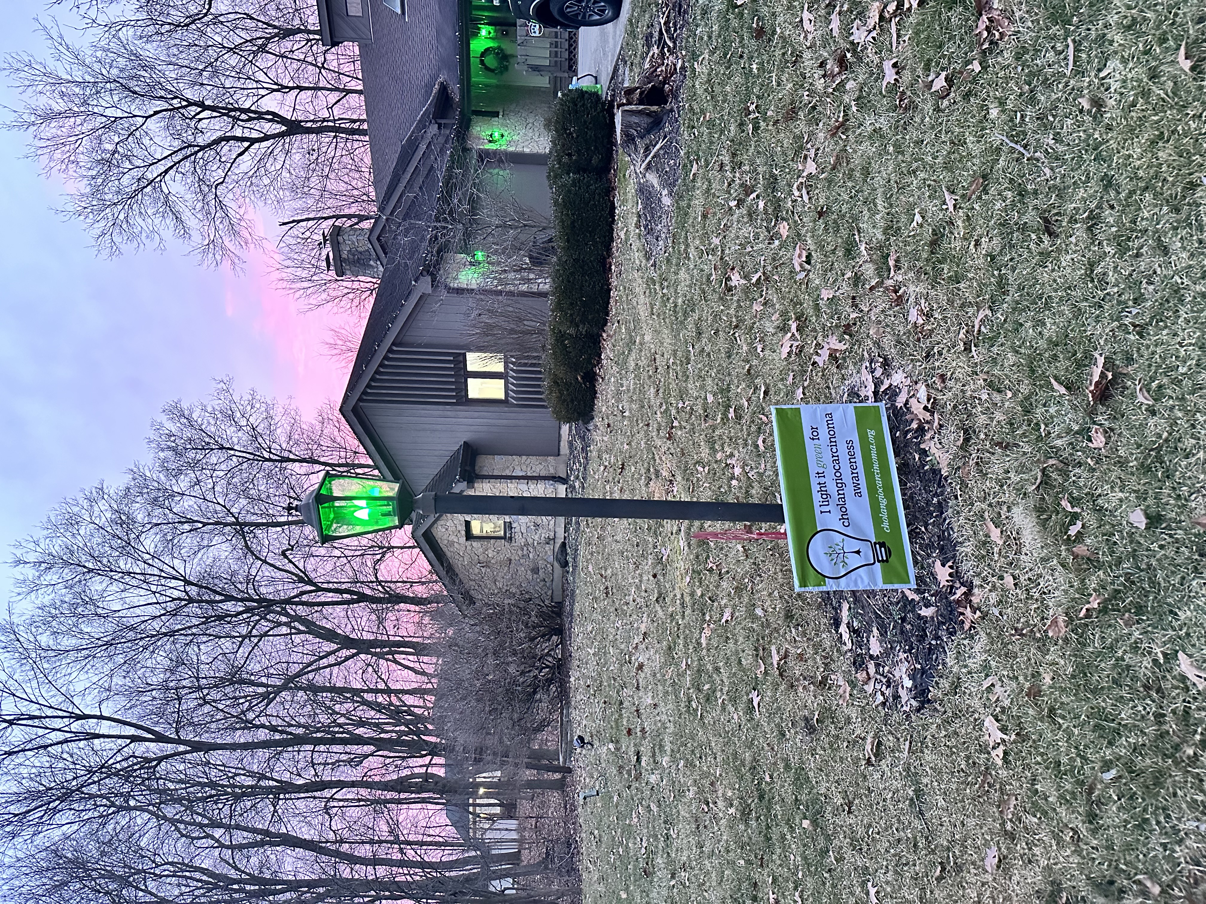 Upload your "Light It Green" photo