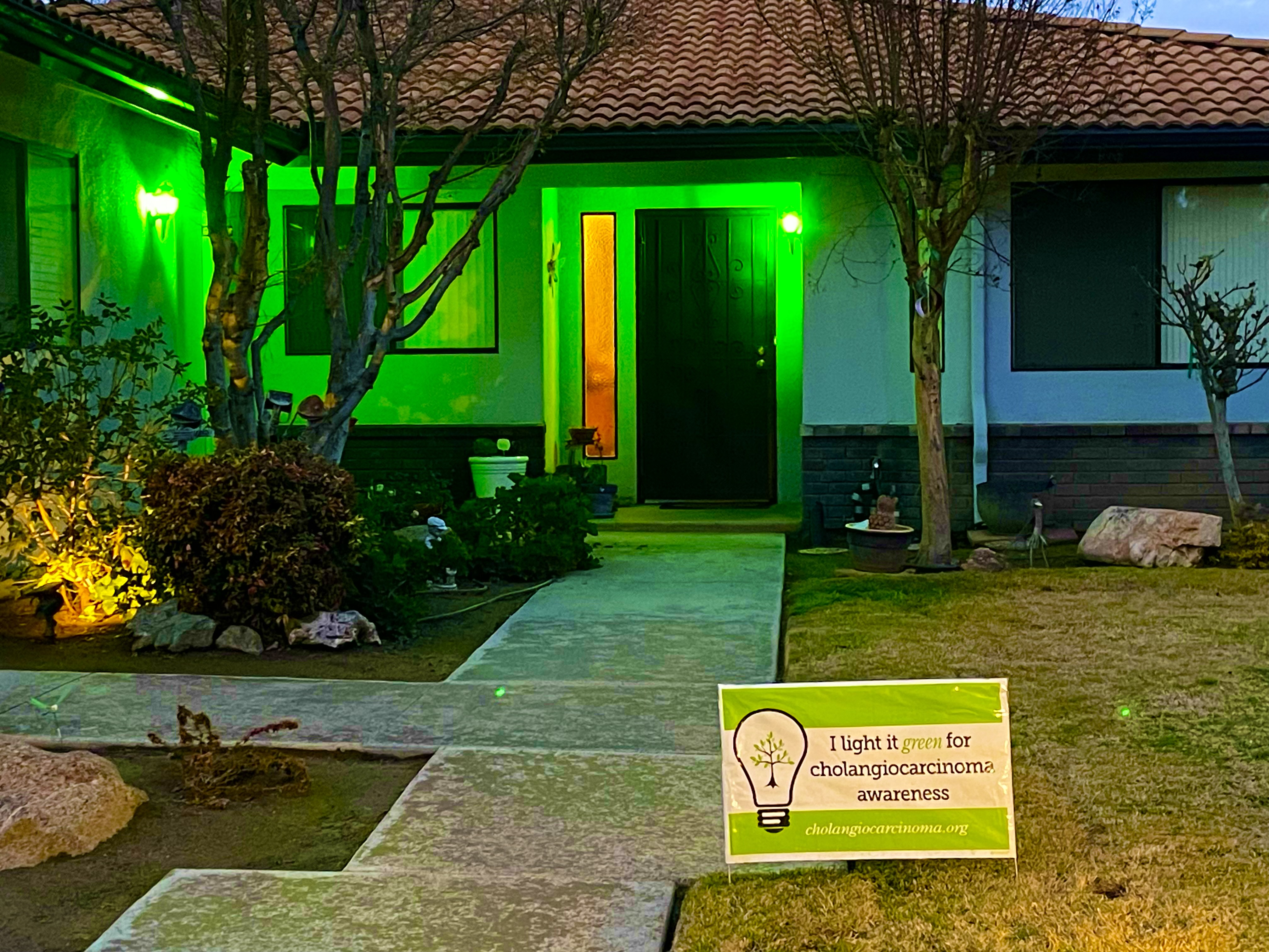 Upload your "Light It Green" photo