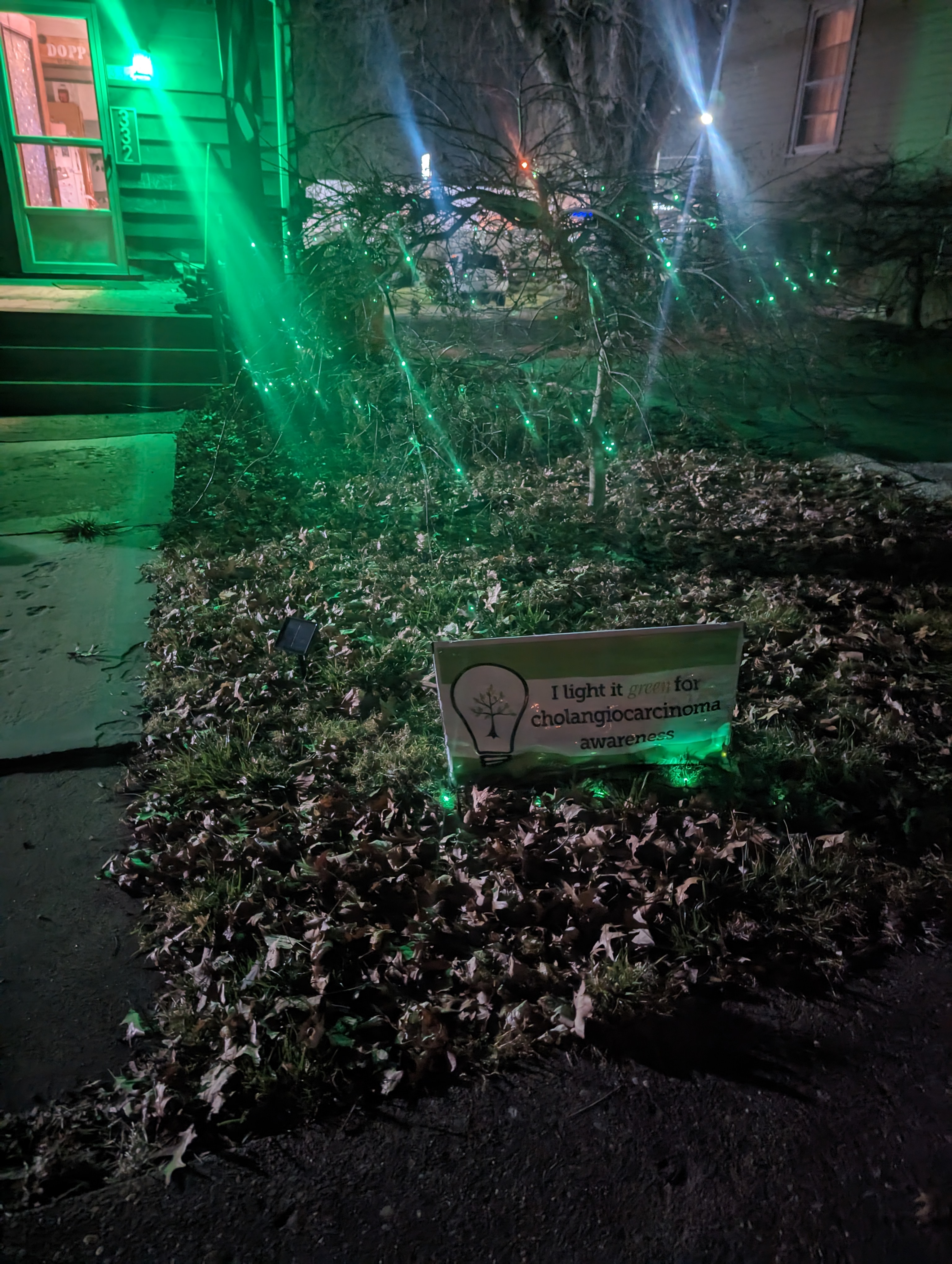 Upload your "Light It Green" photo