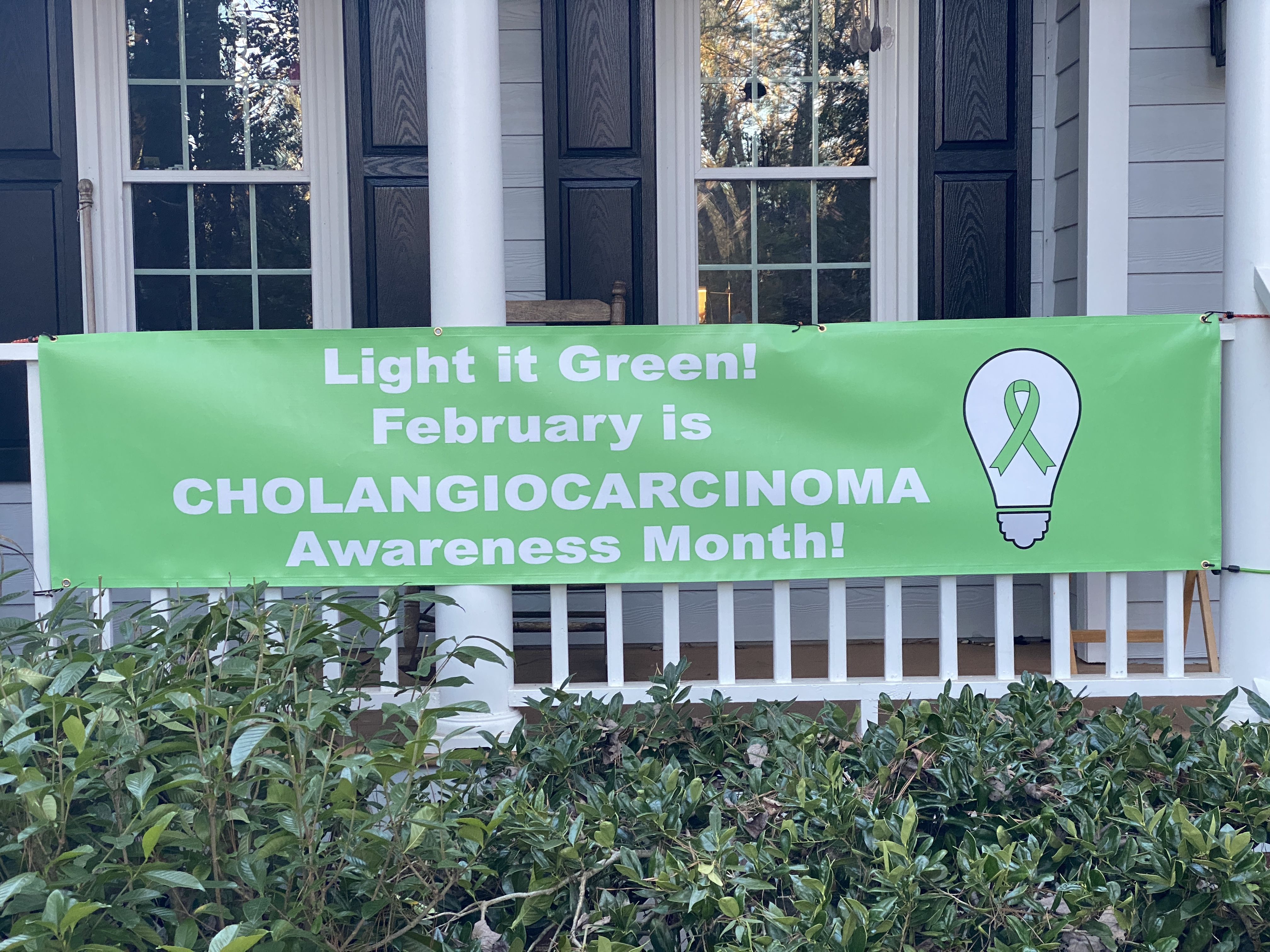 Upload your "Light It Green" photo
