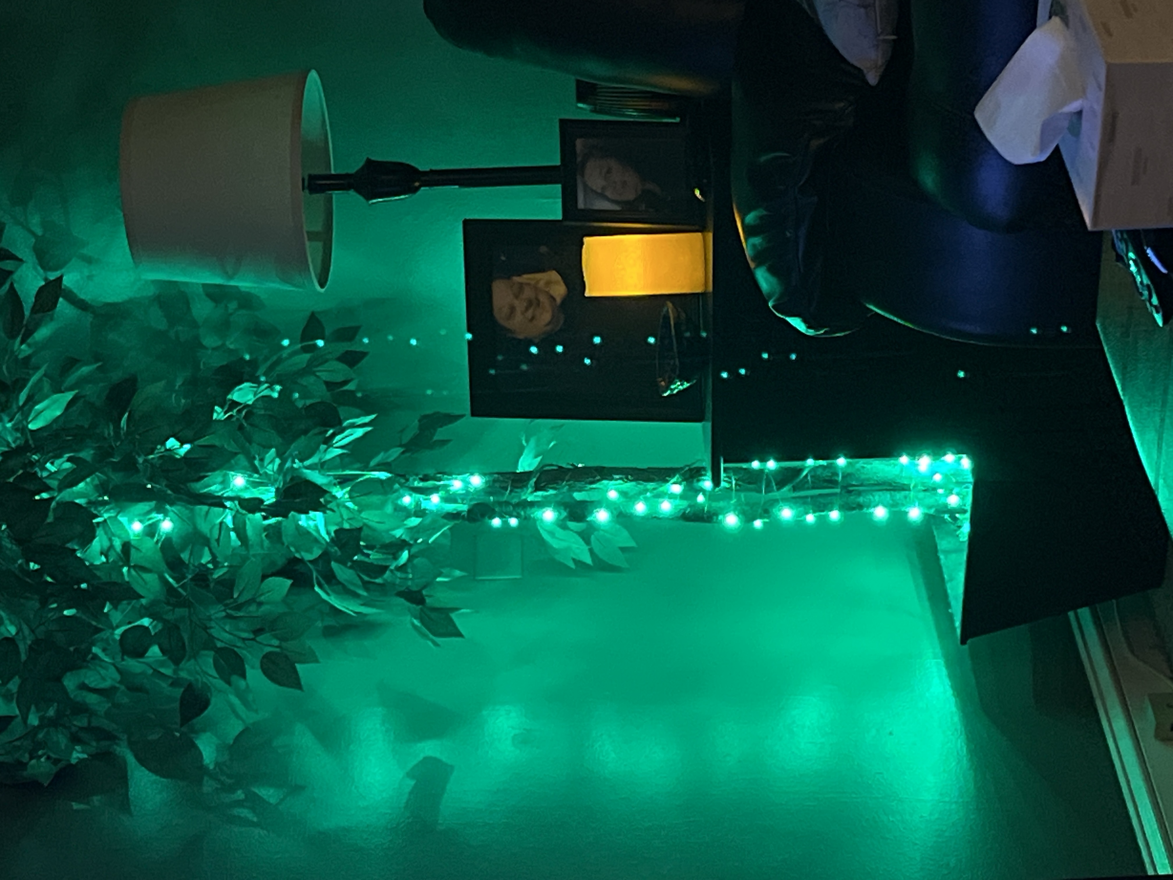 Upload your "Light It Green" photo