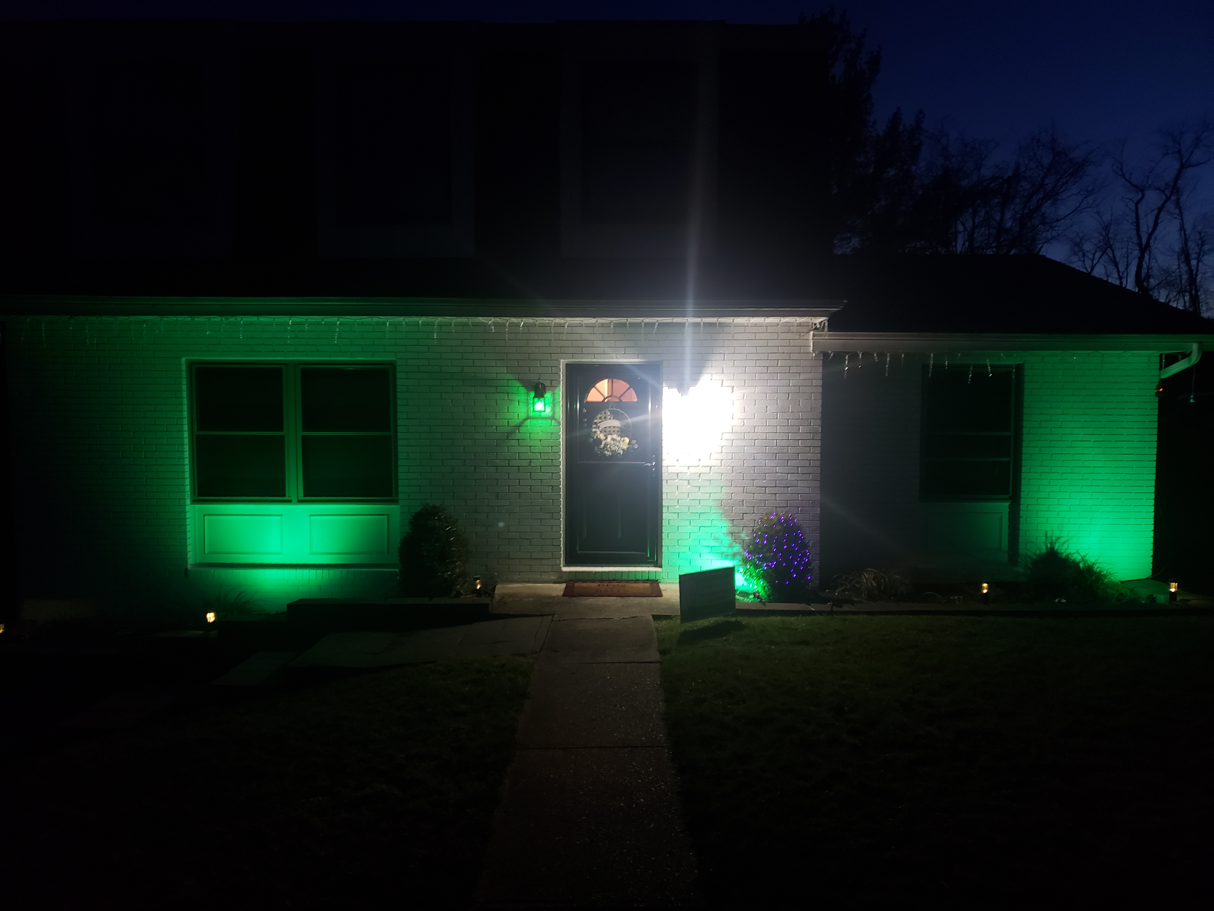 Upload your "Light It Green" photo