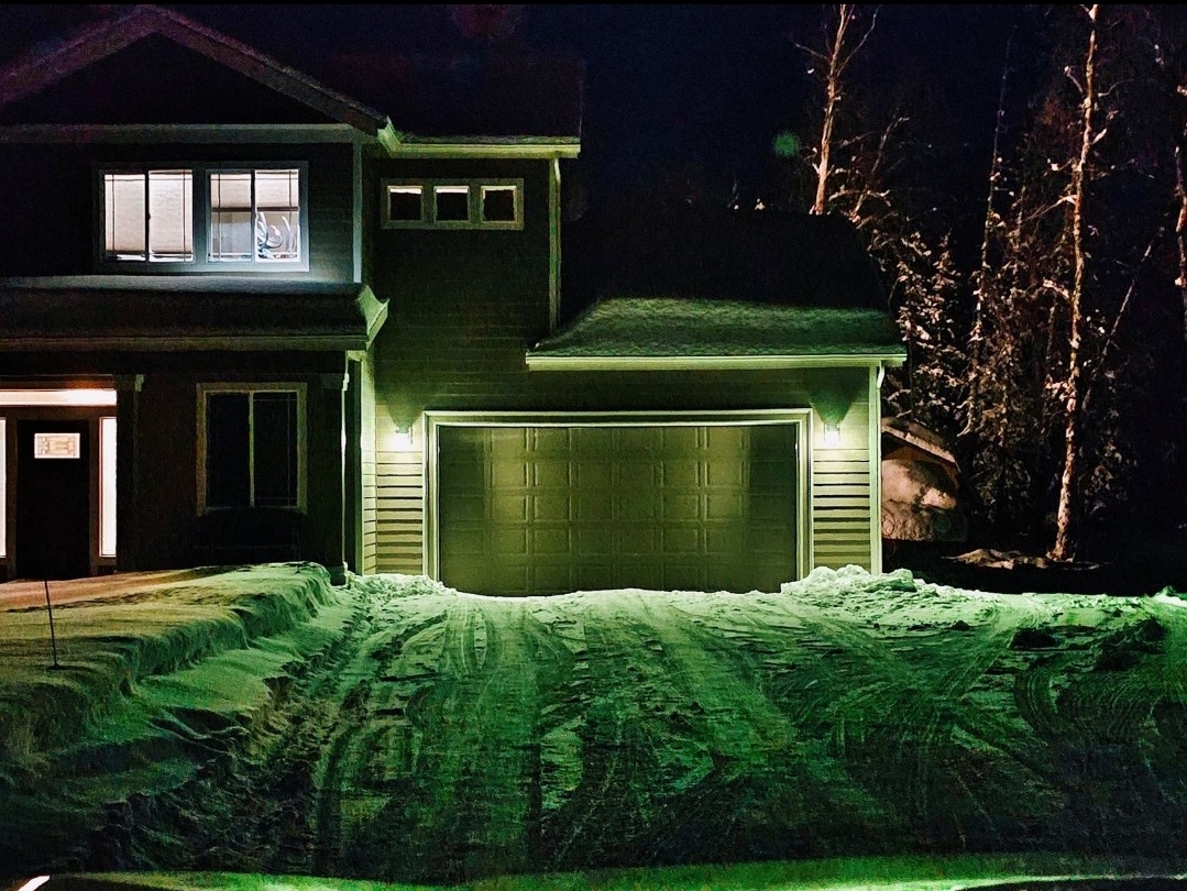 Upload your "Light It Green" photo