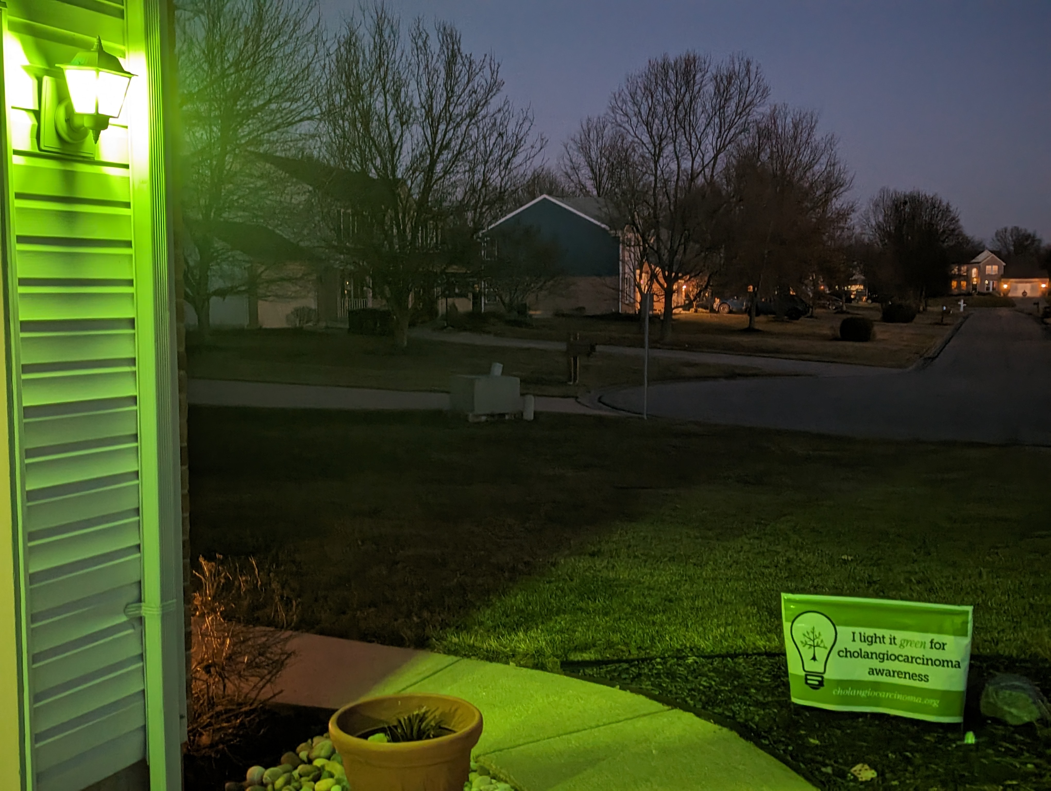 Upload your "Light It Green" photo