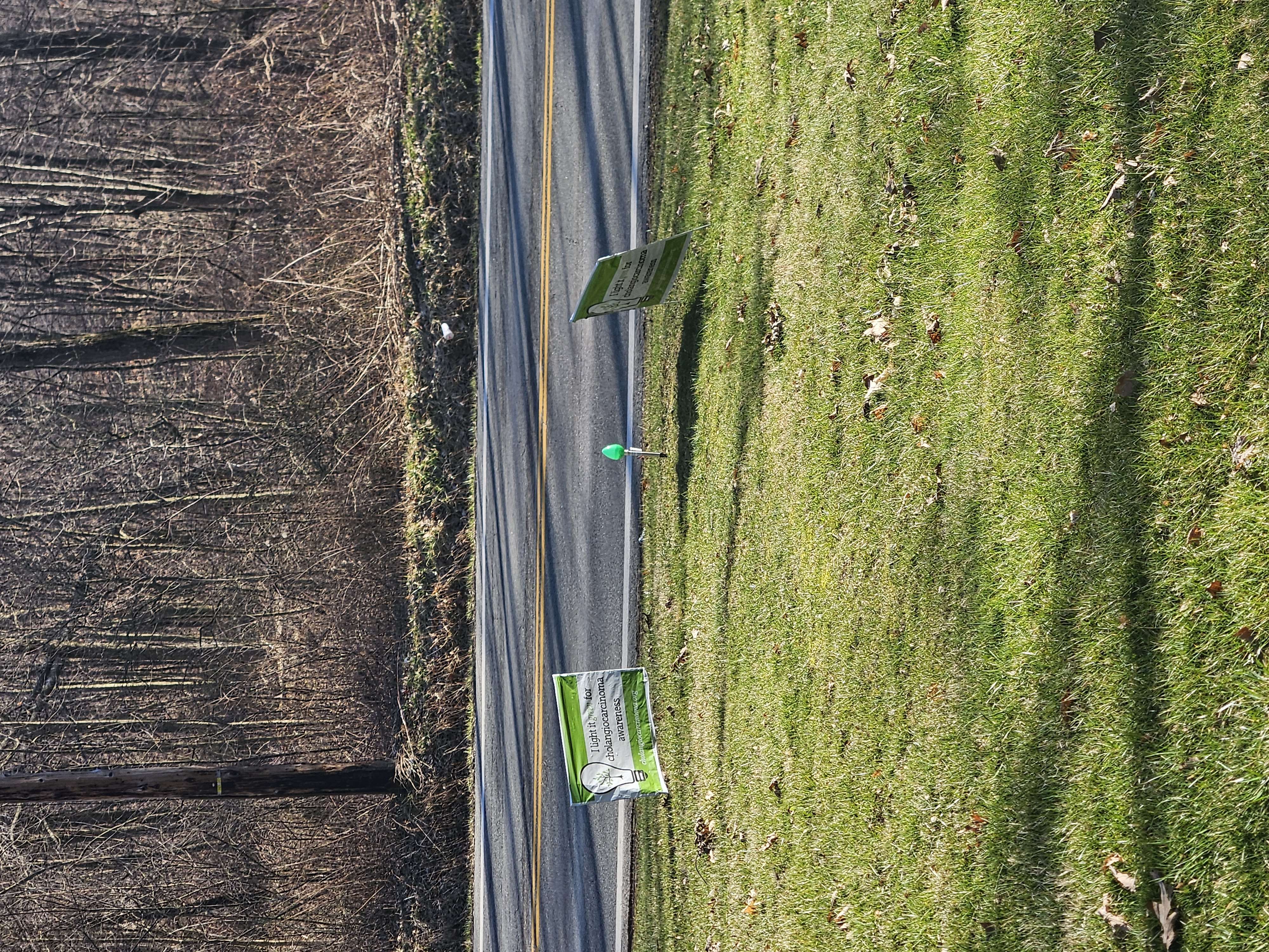 Upload your "Light It Green" photo
