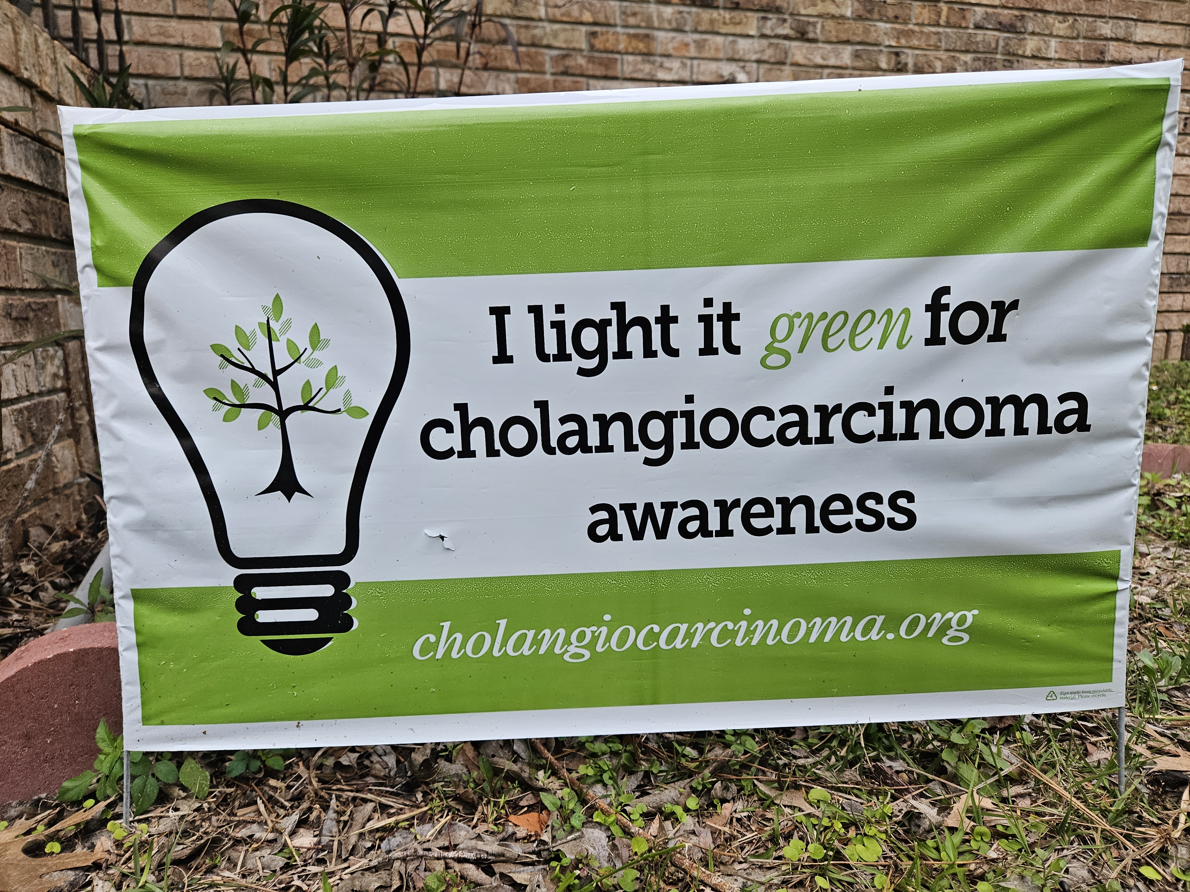 Upload your "Light It Green" photo