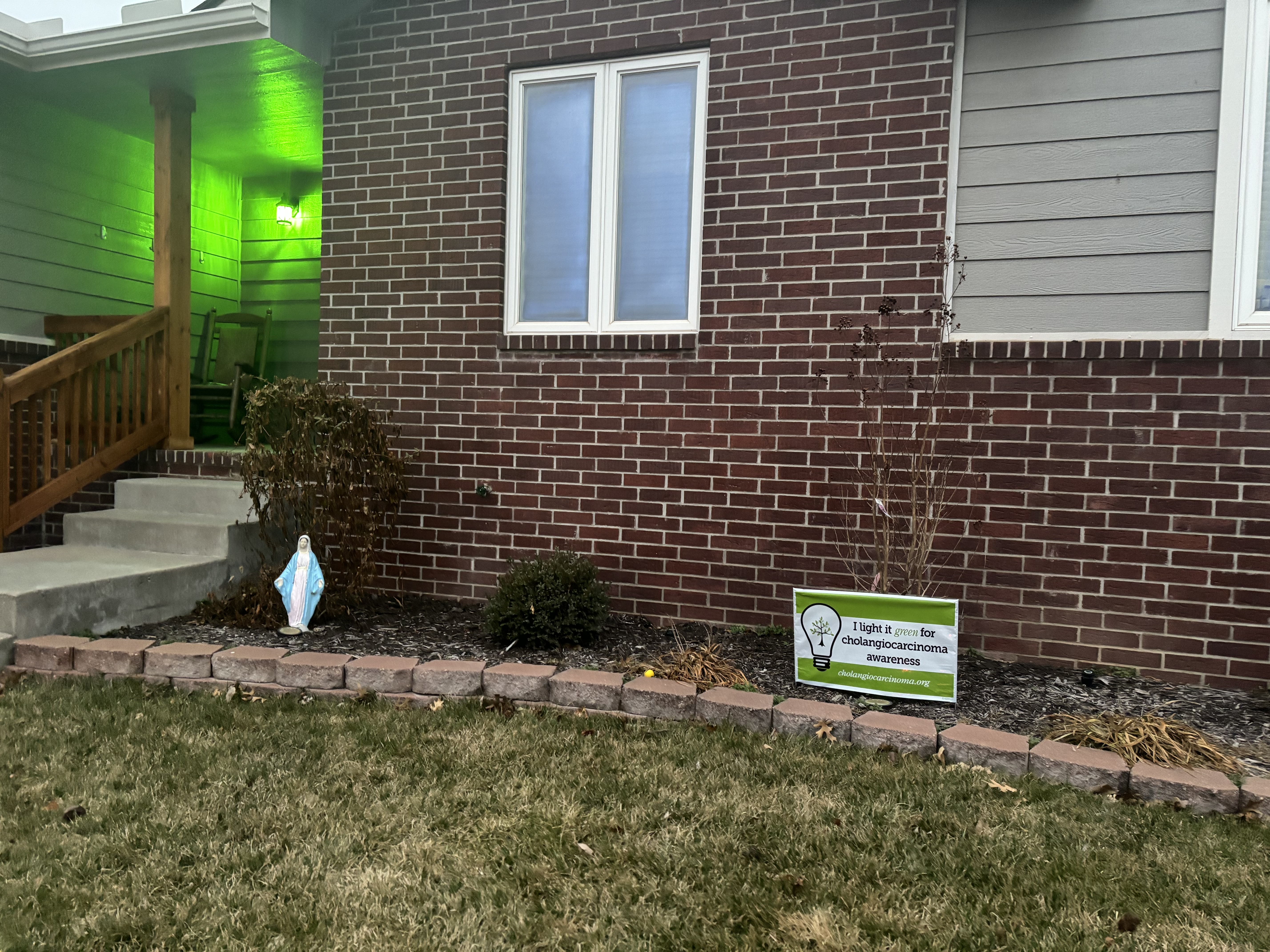 Upload your "Light It Green" photo